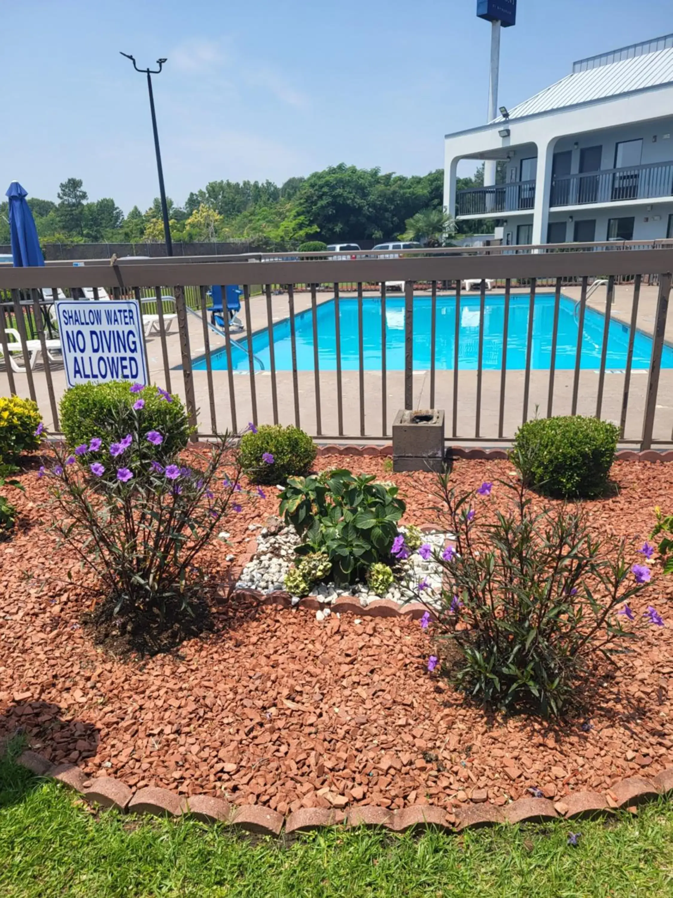 Pool View in Baymont Inn & Suites by Wyndham Florence