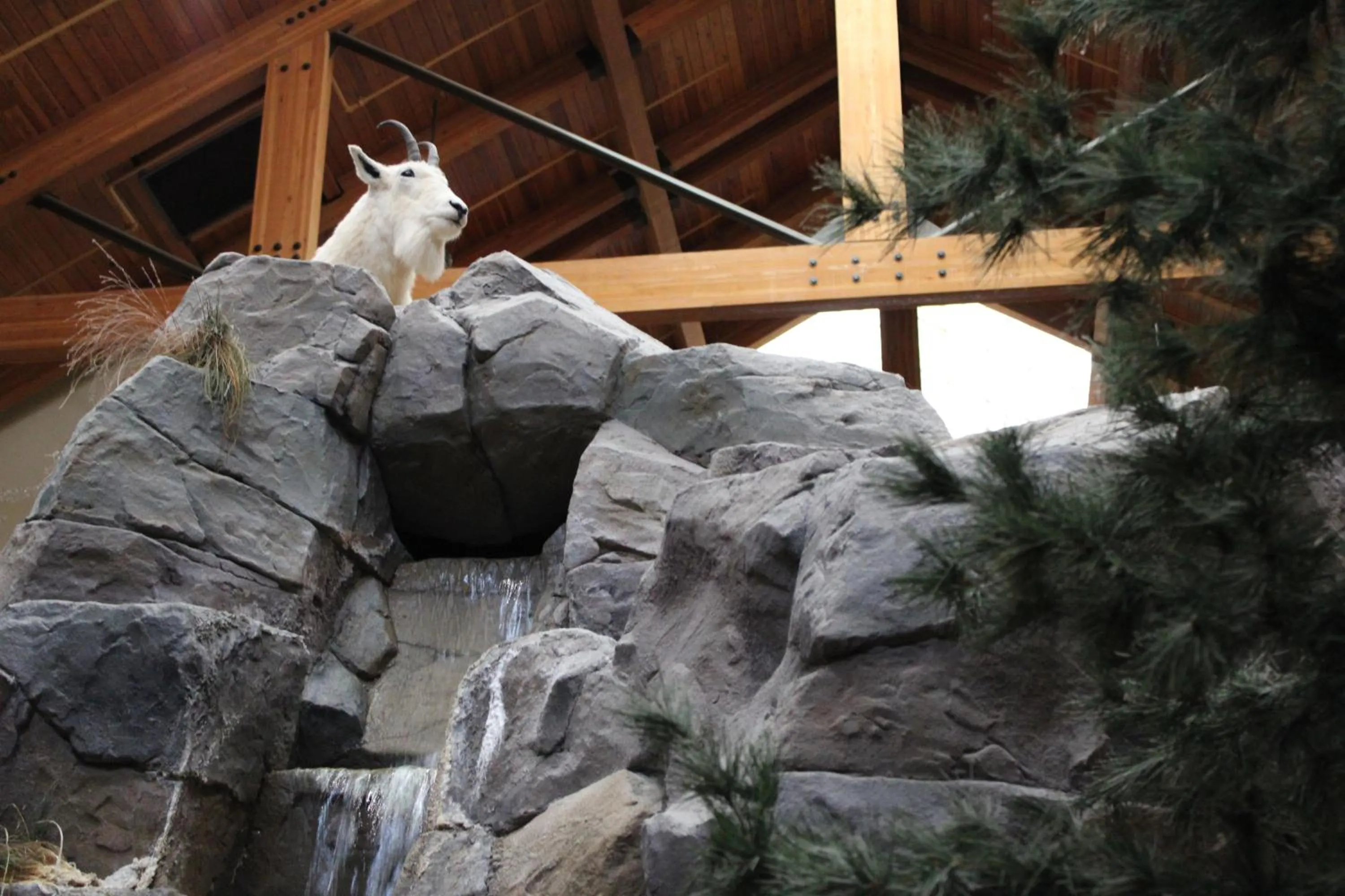 Inner courtyard view in C'mon Inn Missoula
