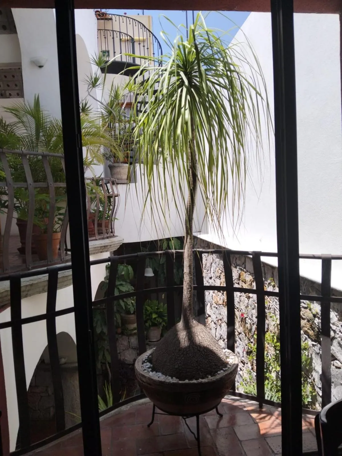 Hotel Antigua Casa de Piedra