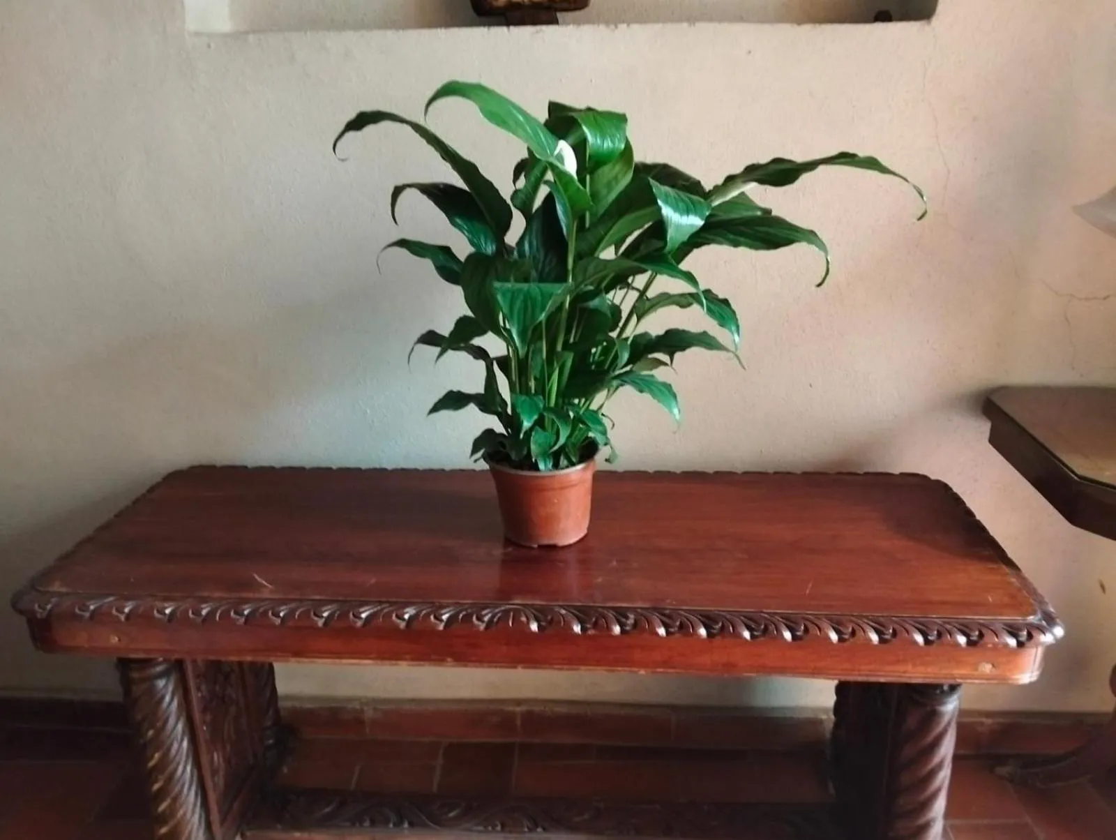 Hotel Antigua Casa de Piedra