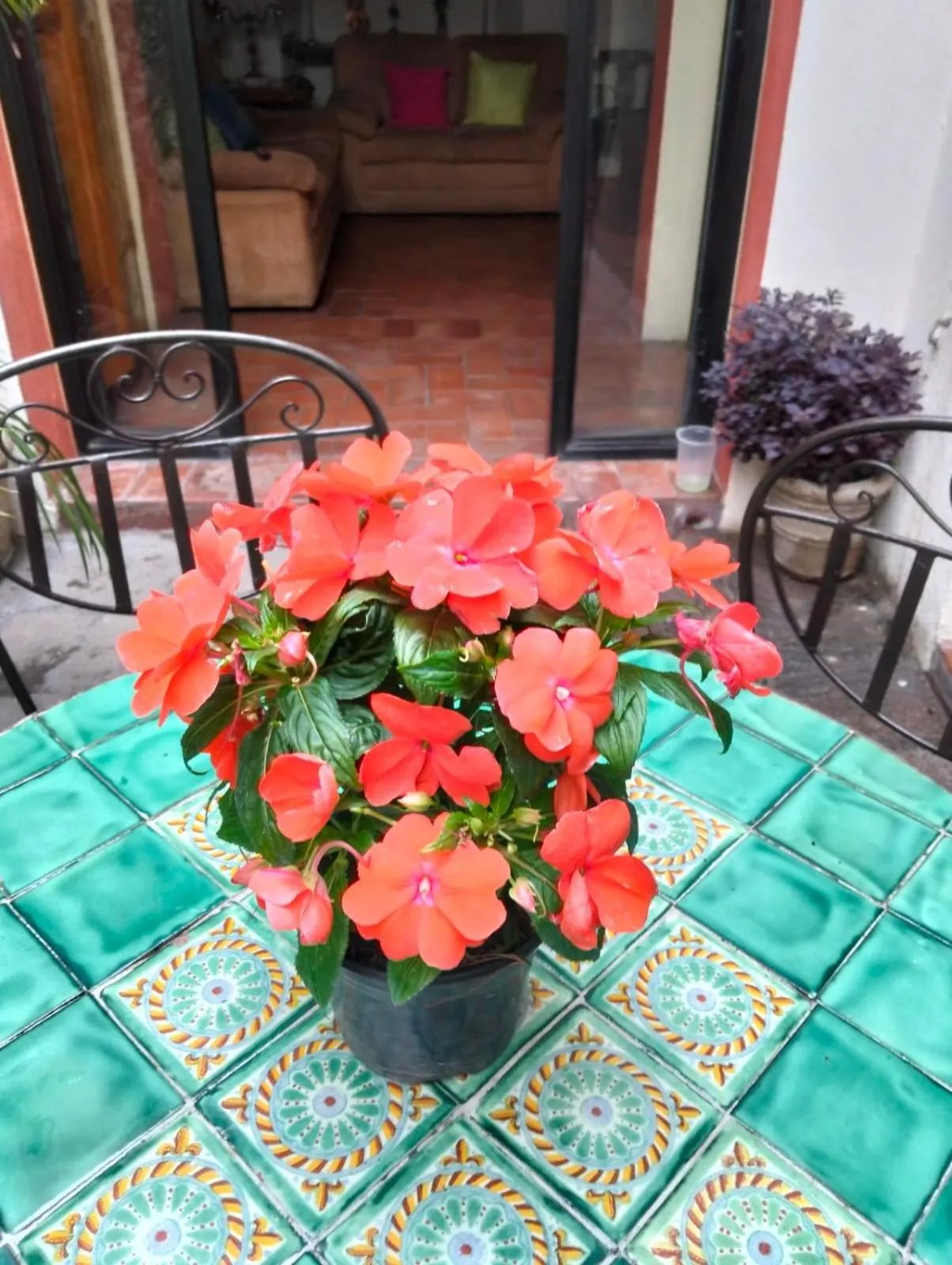 Hotel Antigua Casa de Piedra