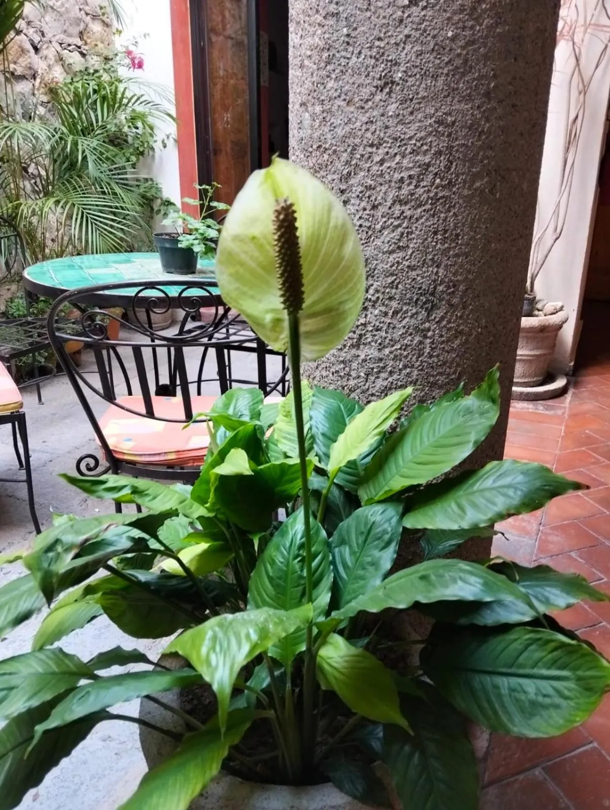 Hotel Antigua Casa de Piedra