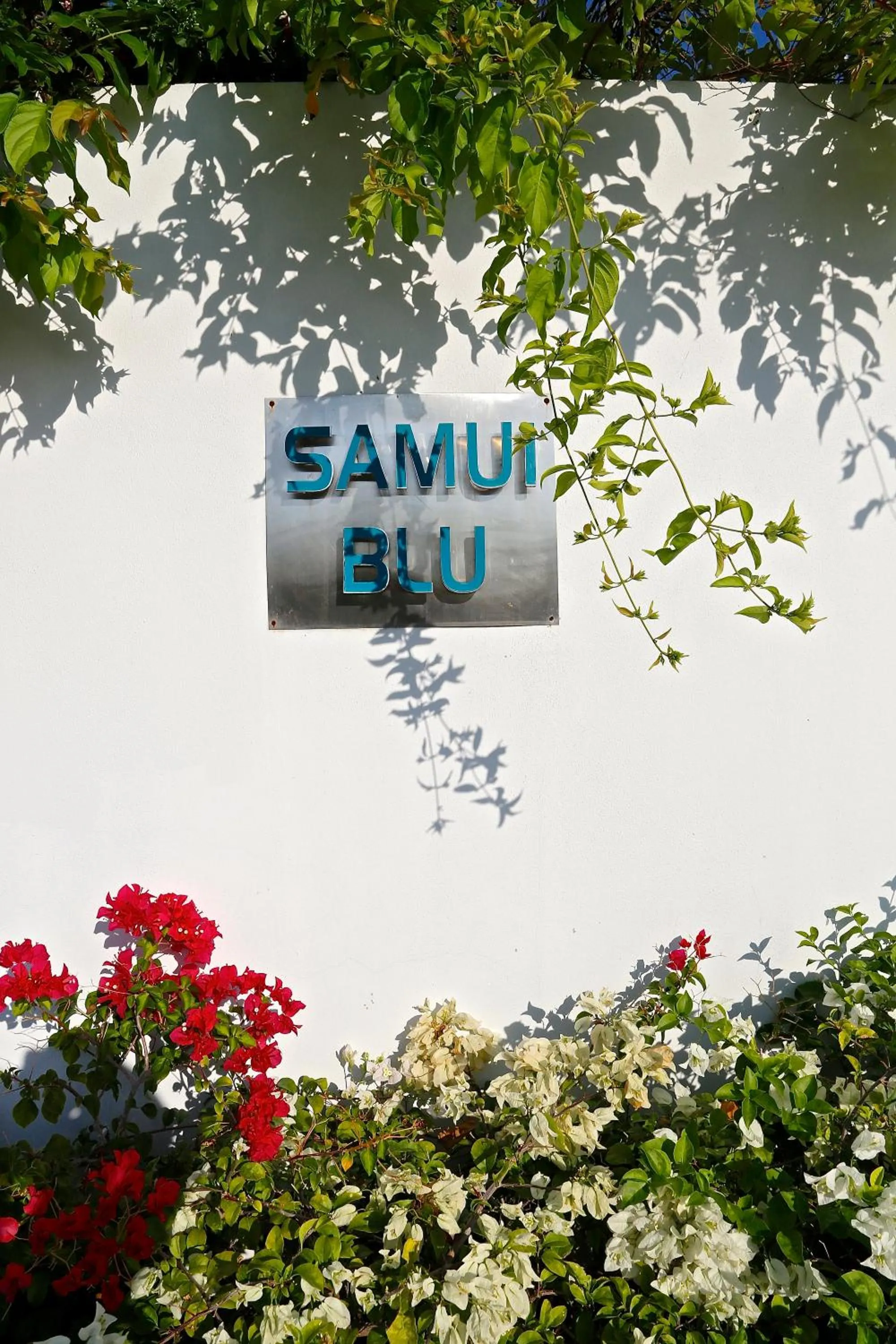 Property logo or sign in Samui Blu, villa with private pool