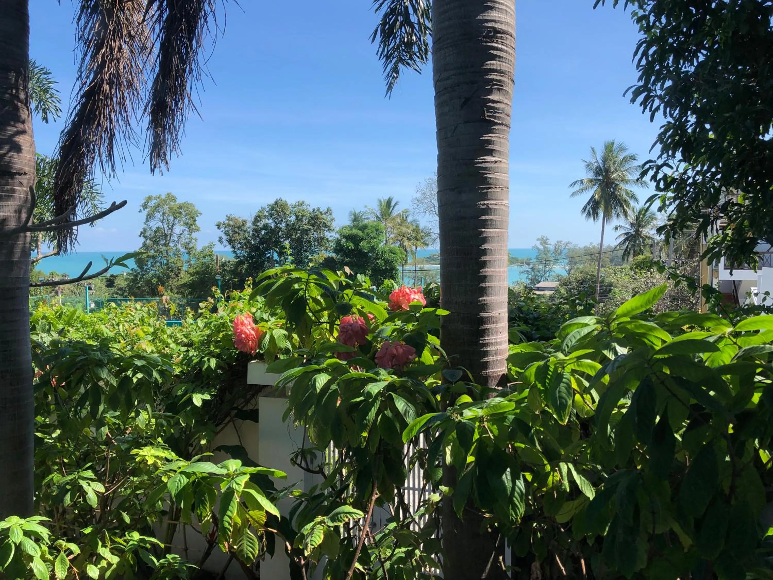 Sea view in Samui Blu, villa with private pool
