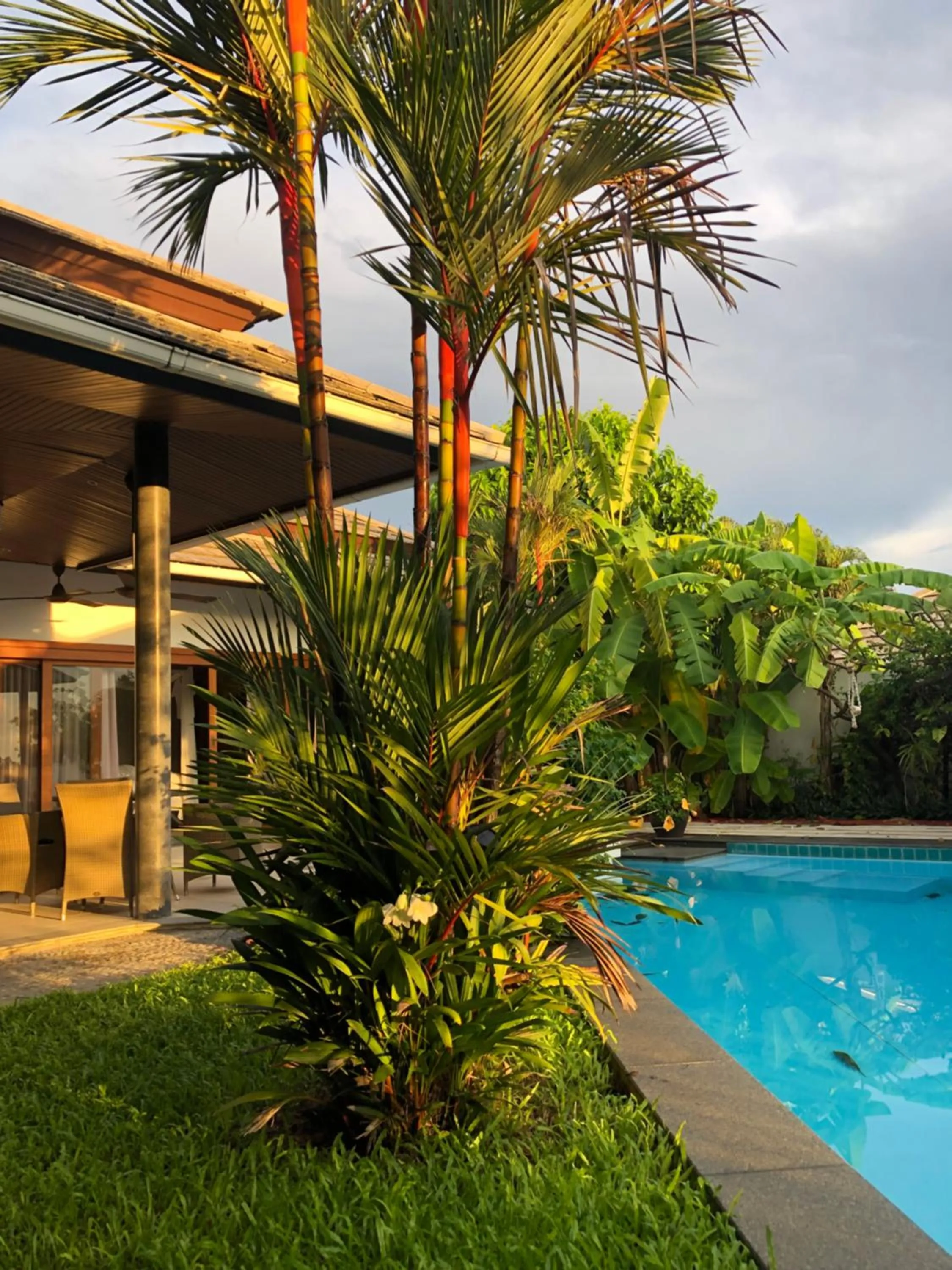 Swimming pool in Samui Blu, villa with private pool