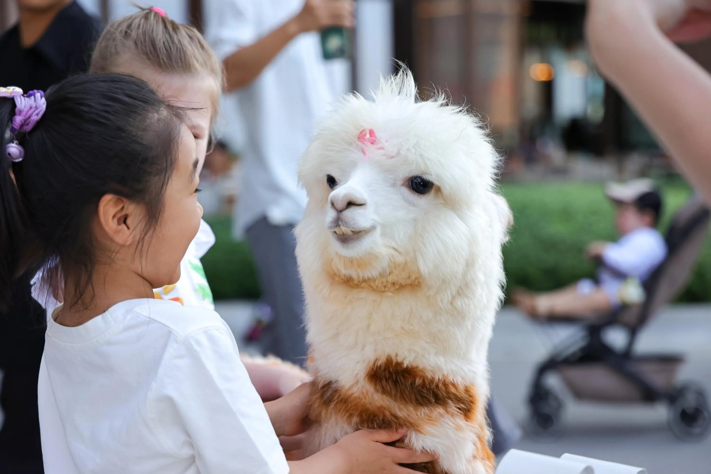 Animals in HUALUXE Sanya Yalong Bay Resort