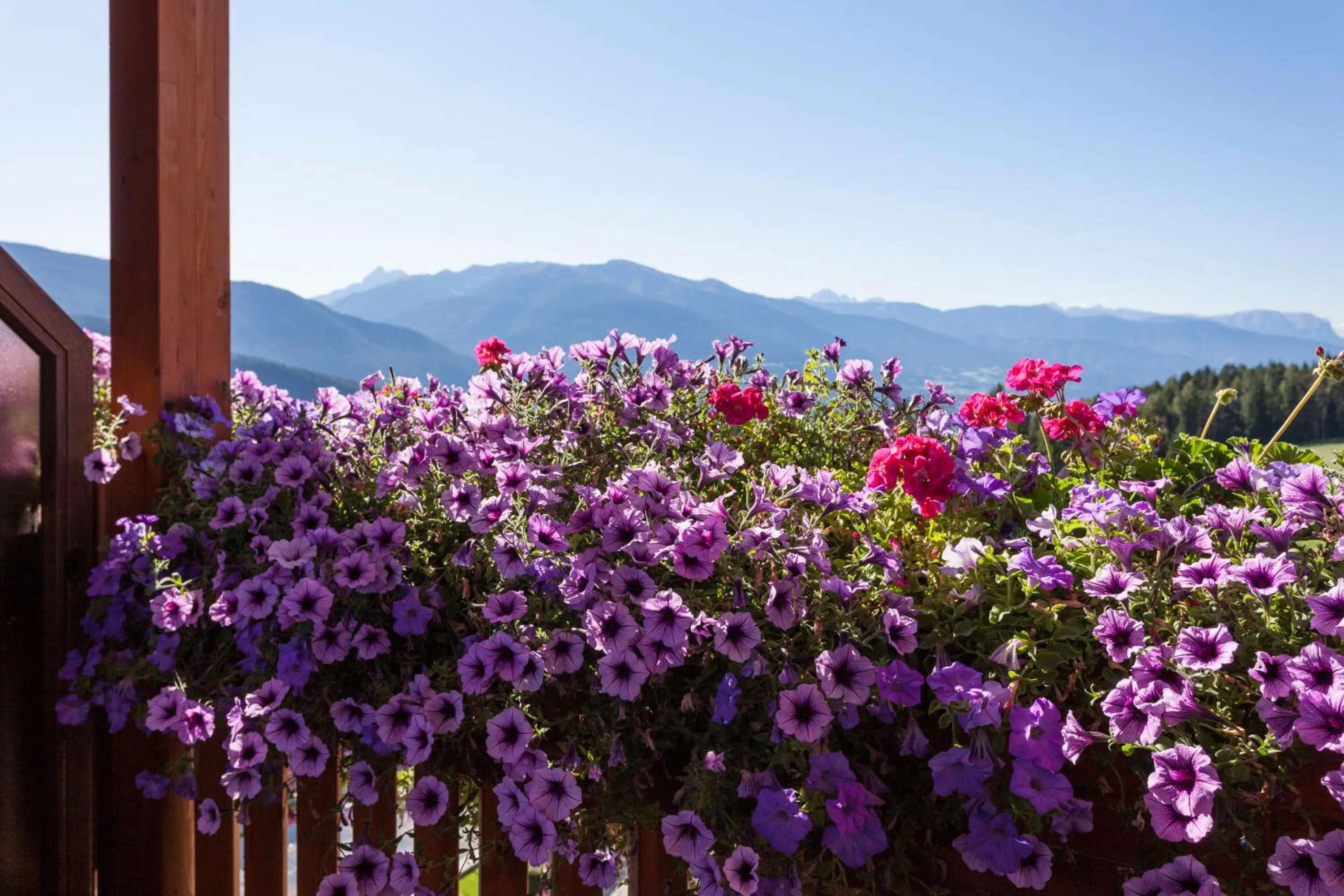 Mountain view in Hotel Bacherhof