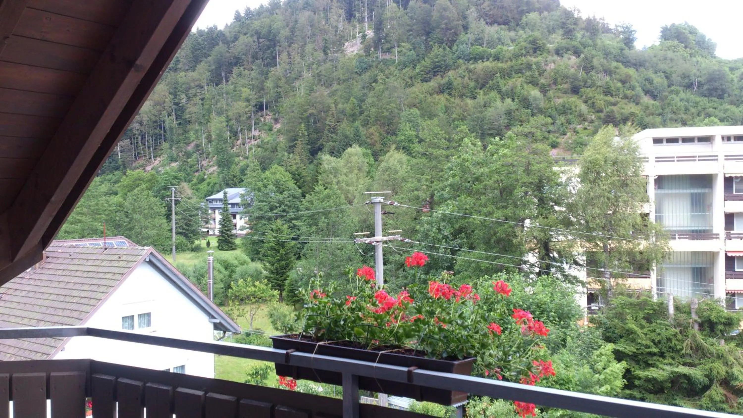 View (from property/room) in Ferienwohnungen Kupferkanne