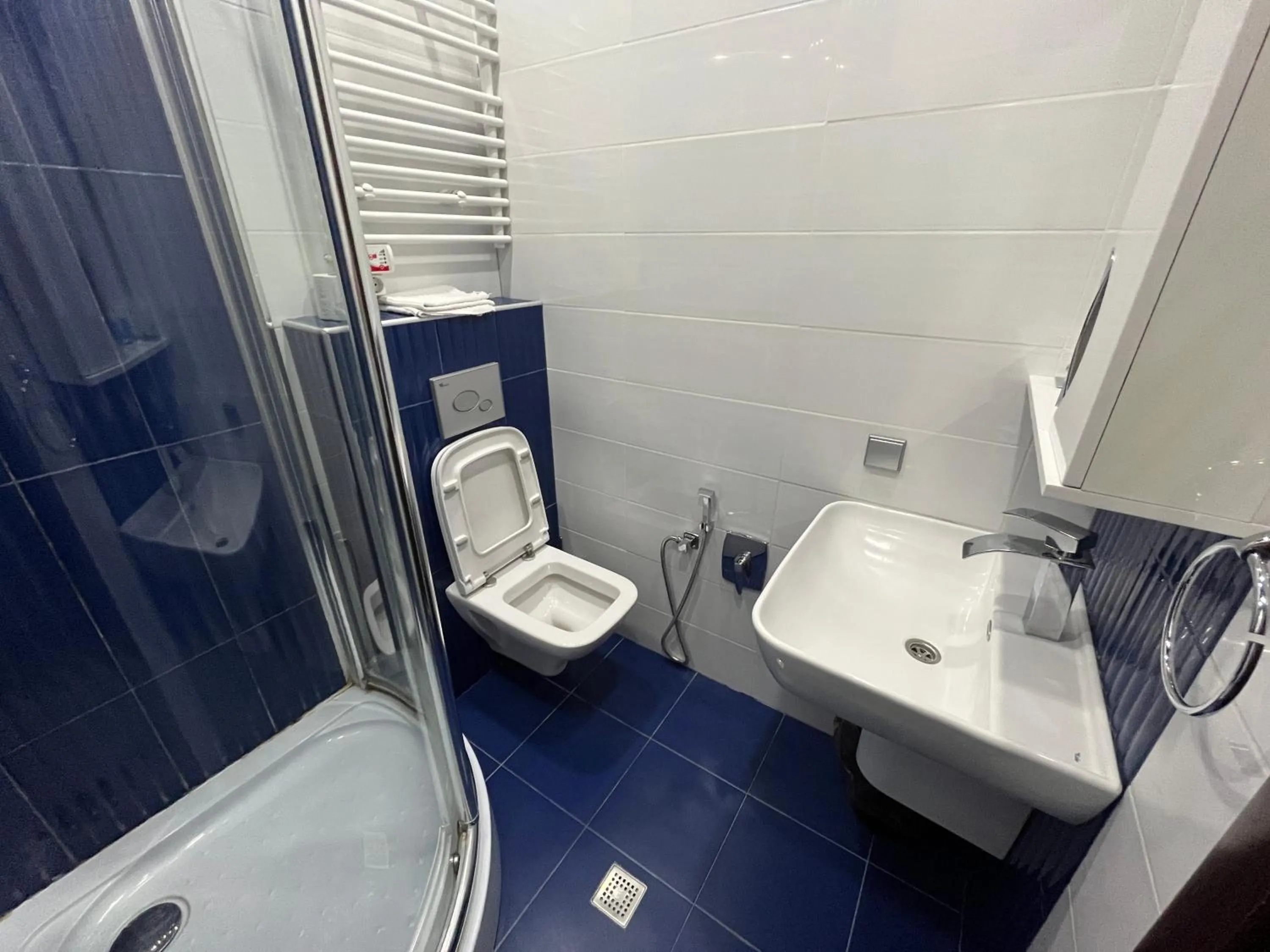 Toilet in HOTEL NEW ROYAL