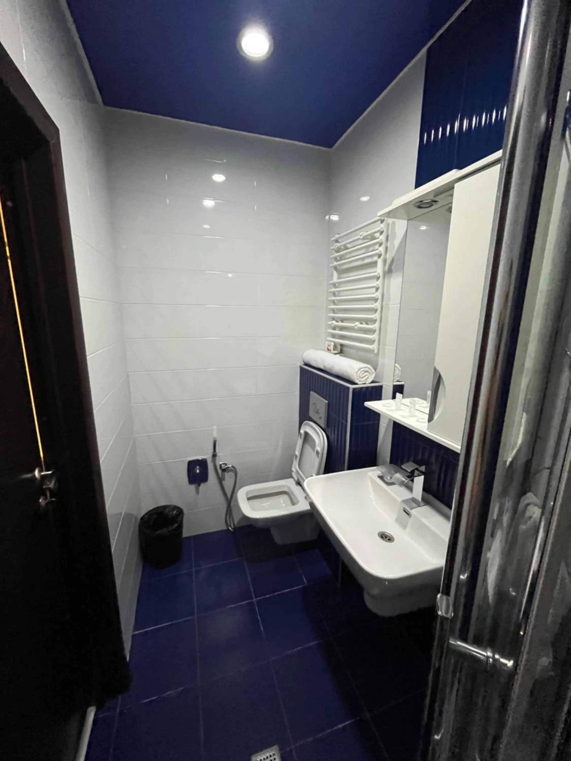 Toilet in HOTEL NEW ROYAL