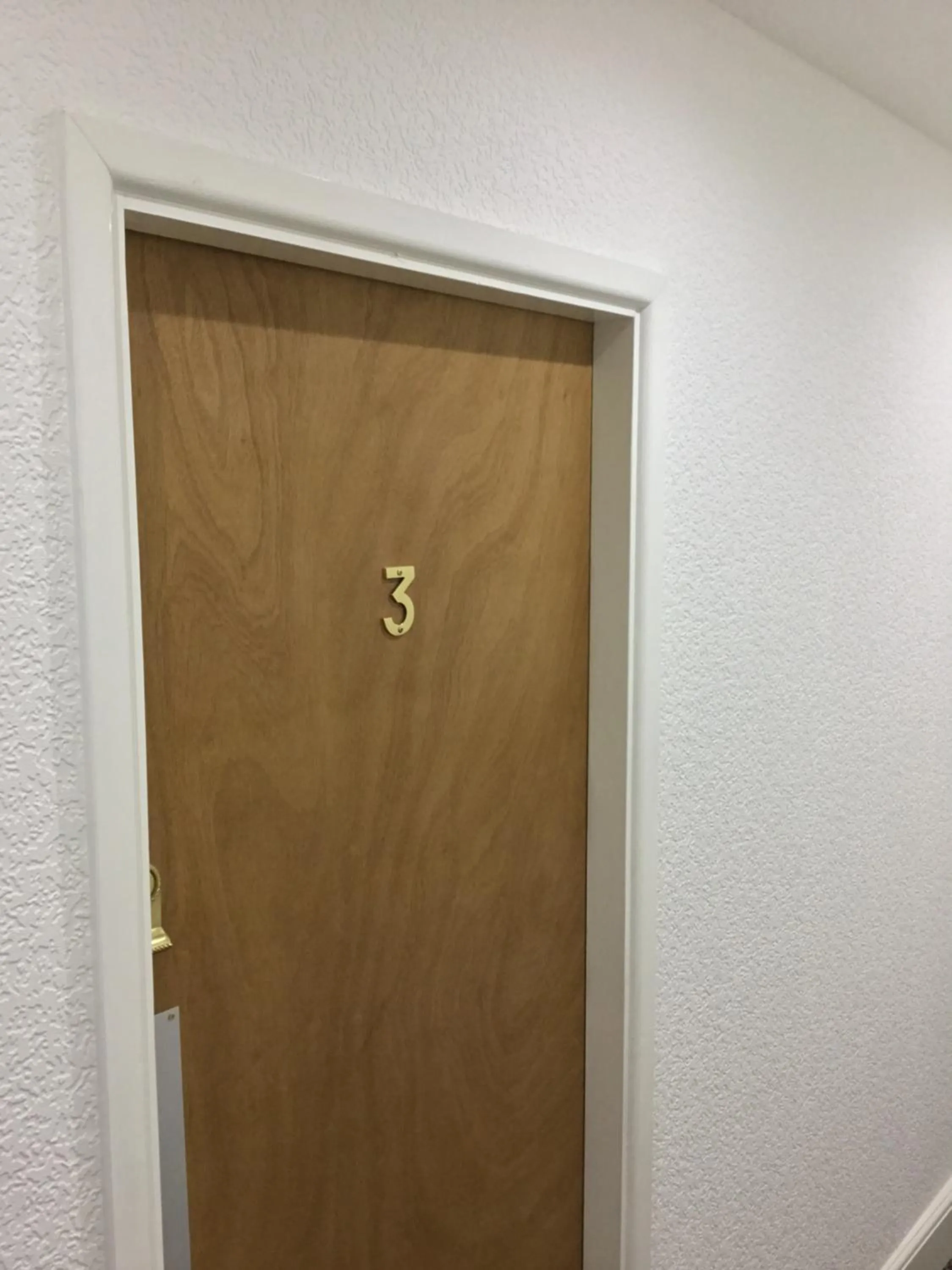 Decorative detail in The Danescourt