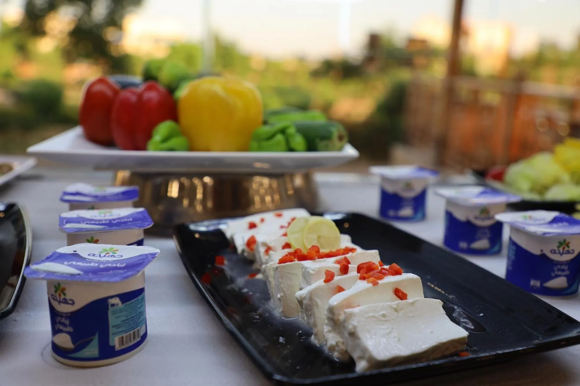 Dining area in Azal Lagoons Resort Abu Simbel