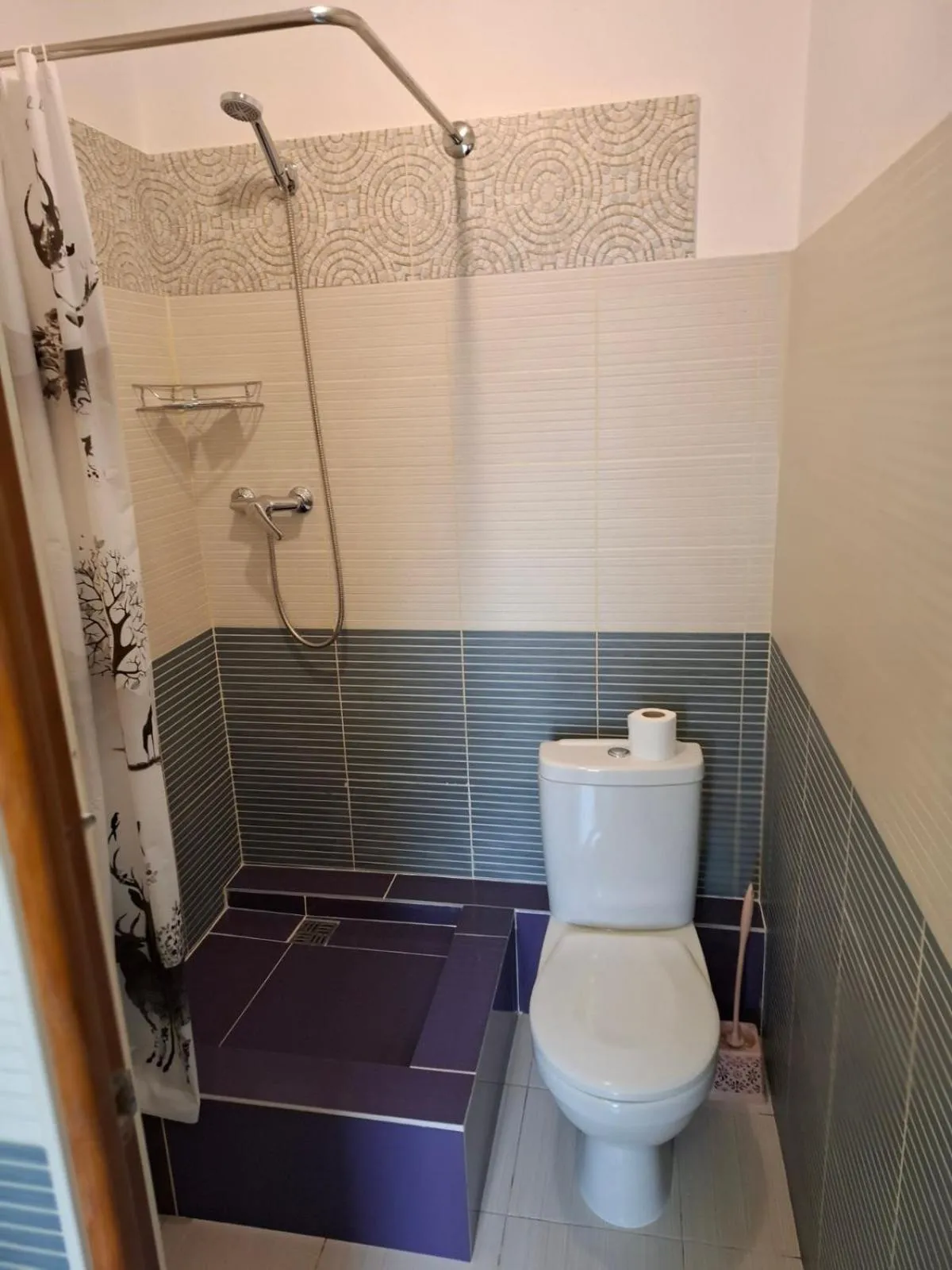 Shower in Guest house "Golden Gate 911 "