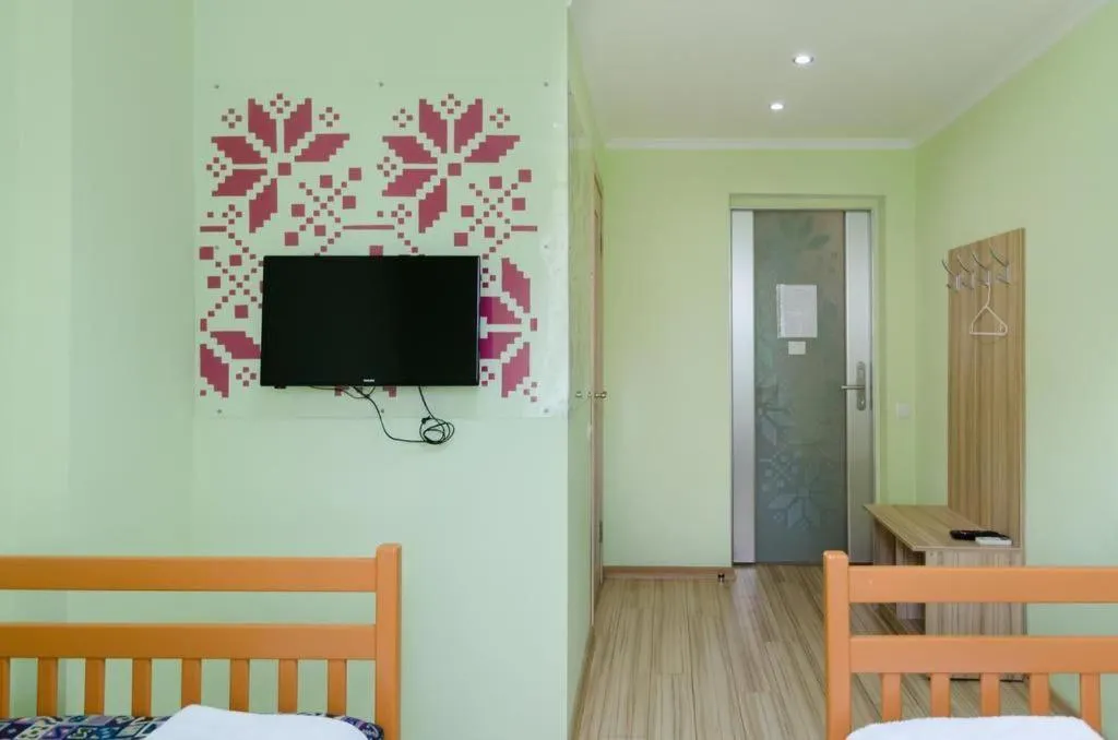 TV and multimedia in Guest house "Golden Gate 911 "