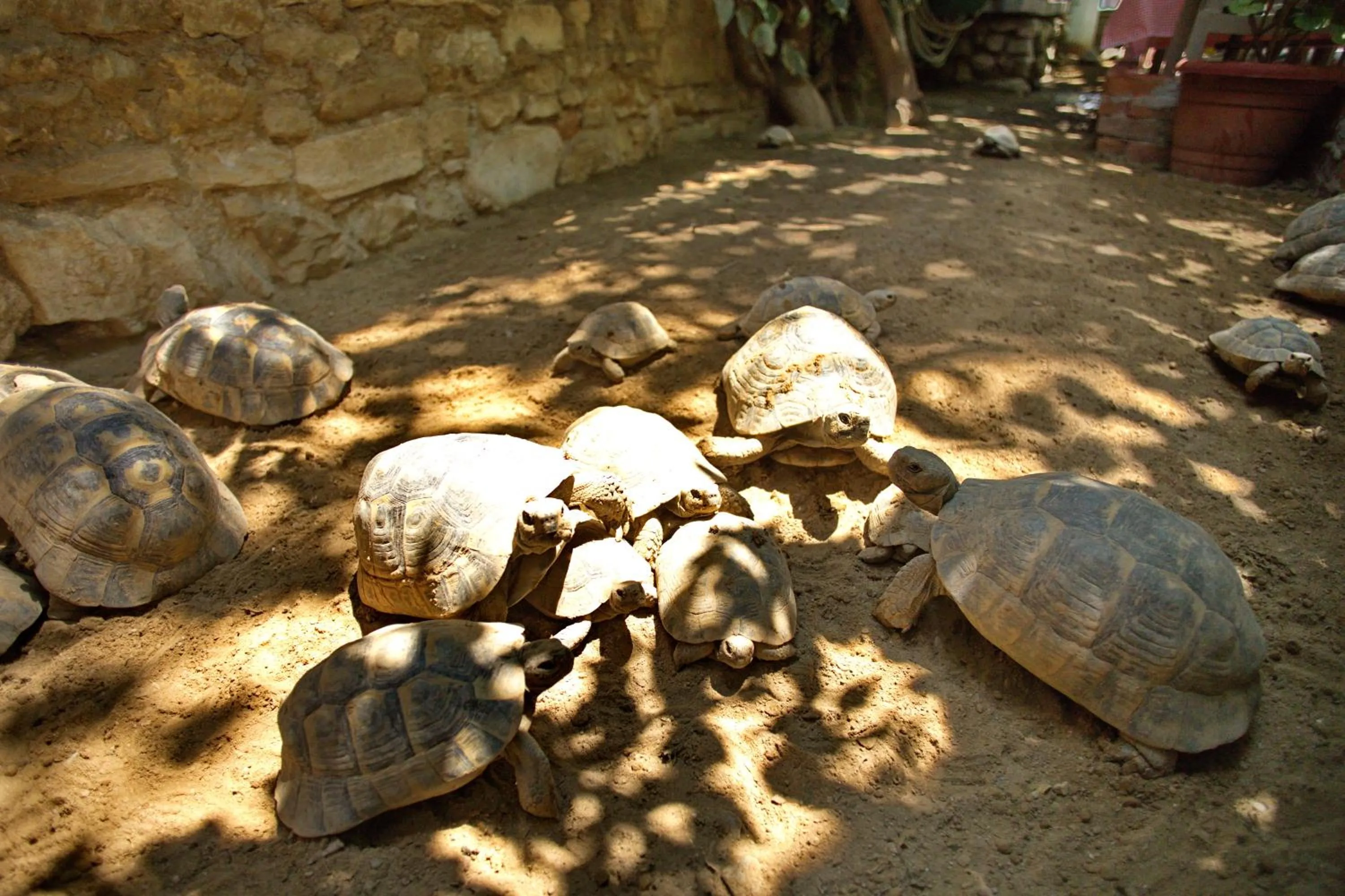 Day in Garden Palace Boutique Hotel