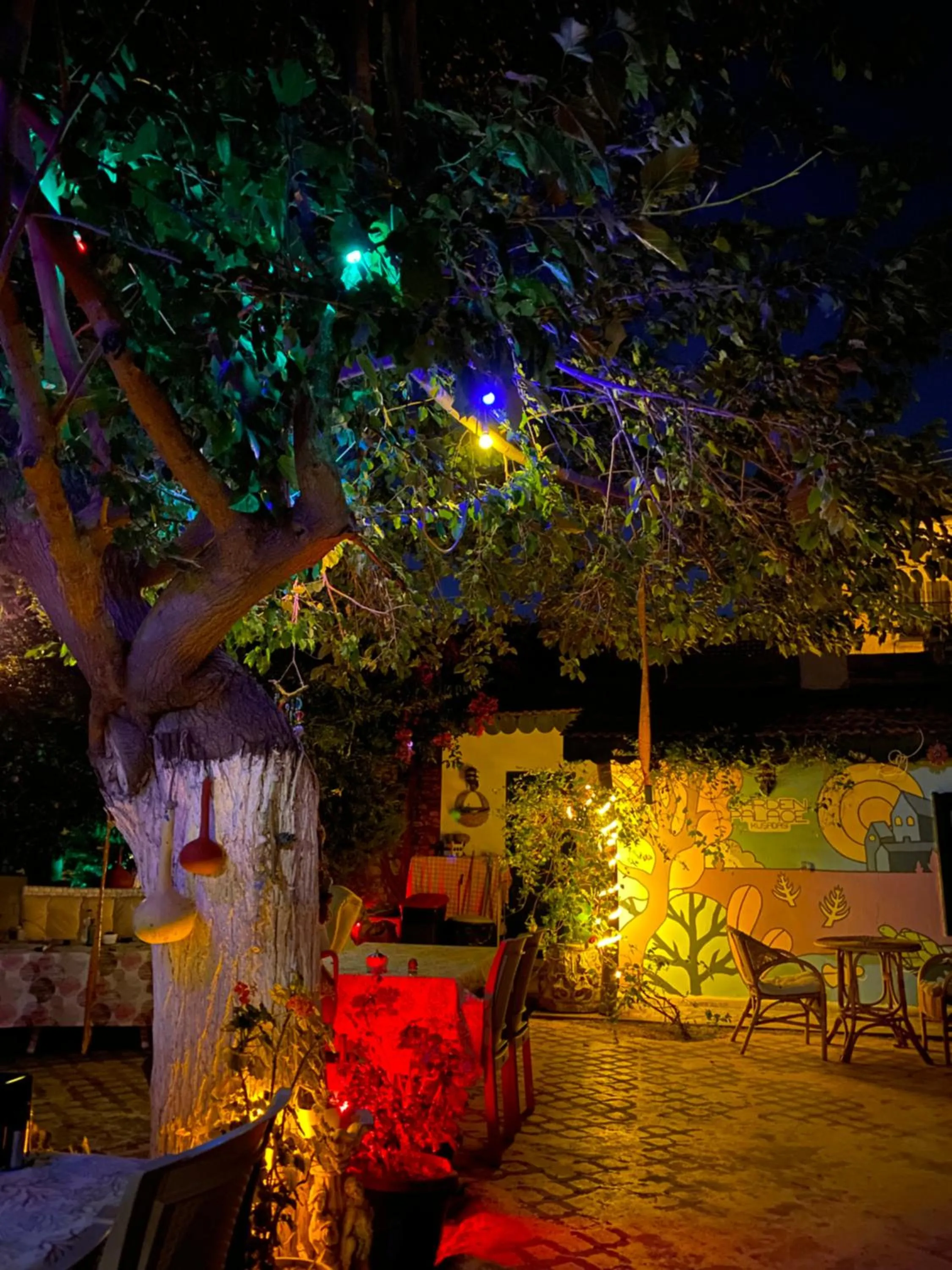 Patio in Garden Palace Boutique Hotel