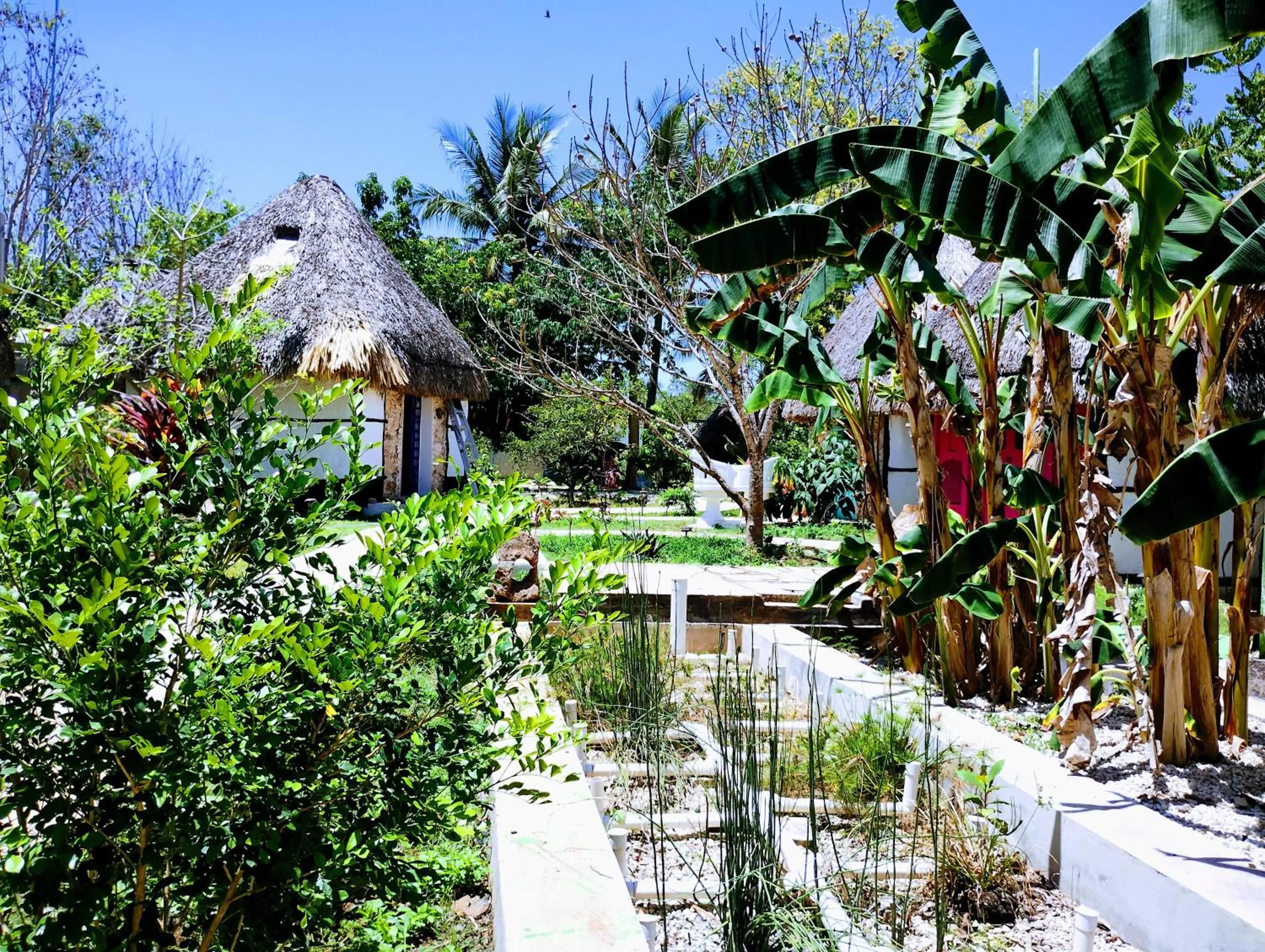 Hotel y Museo Aldea Maya Toktli Orígenes - All Village, Alberca, Wifi Starlink, Tour Museo