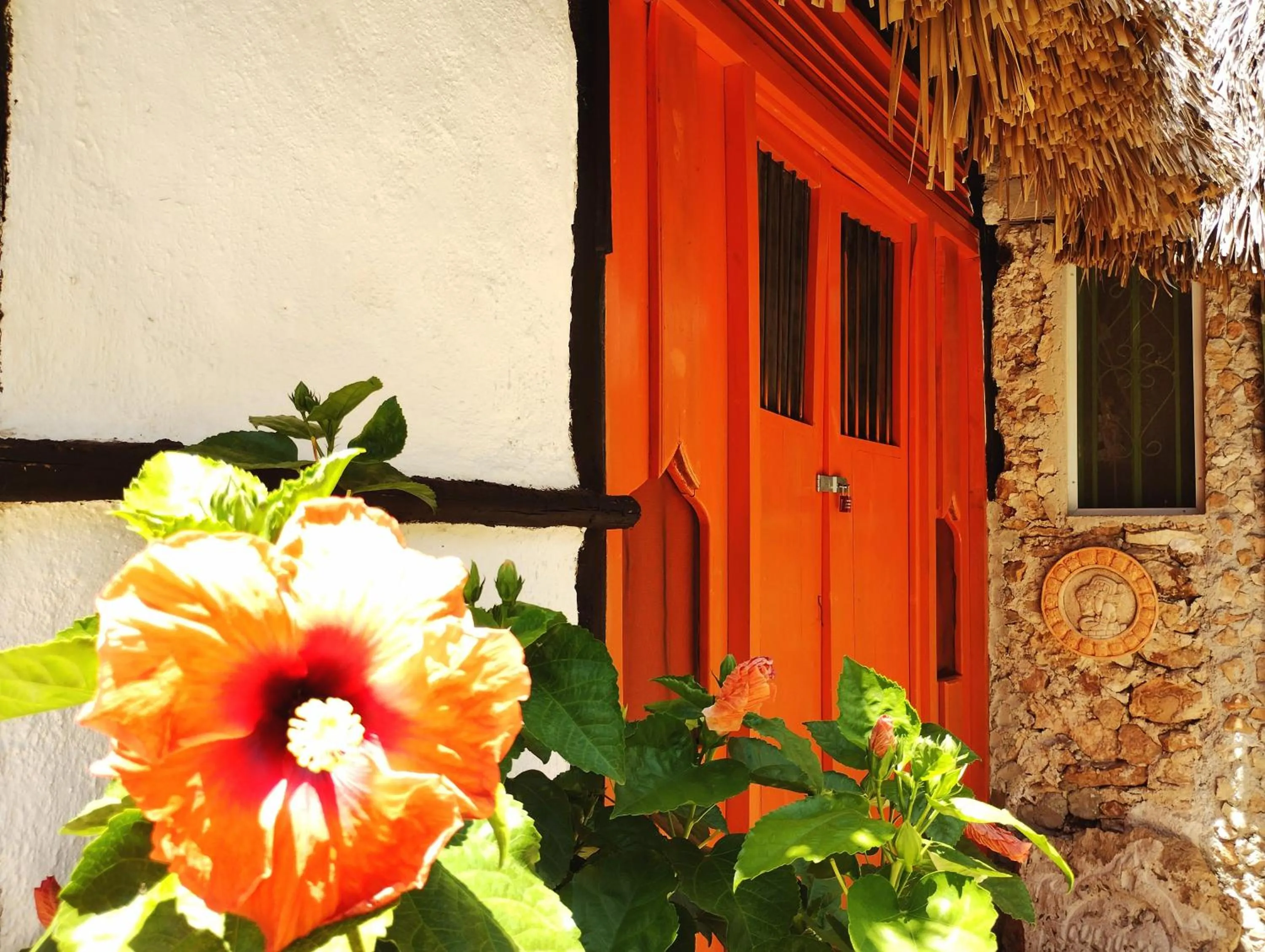 Hotel y Museo Aldea Maya Toktli Orígenes - All Village, Alberca, Wifi Starlink, Tour Museo