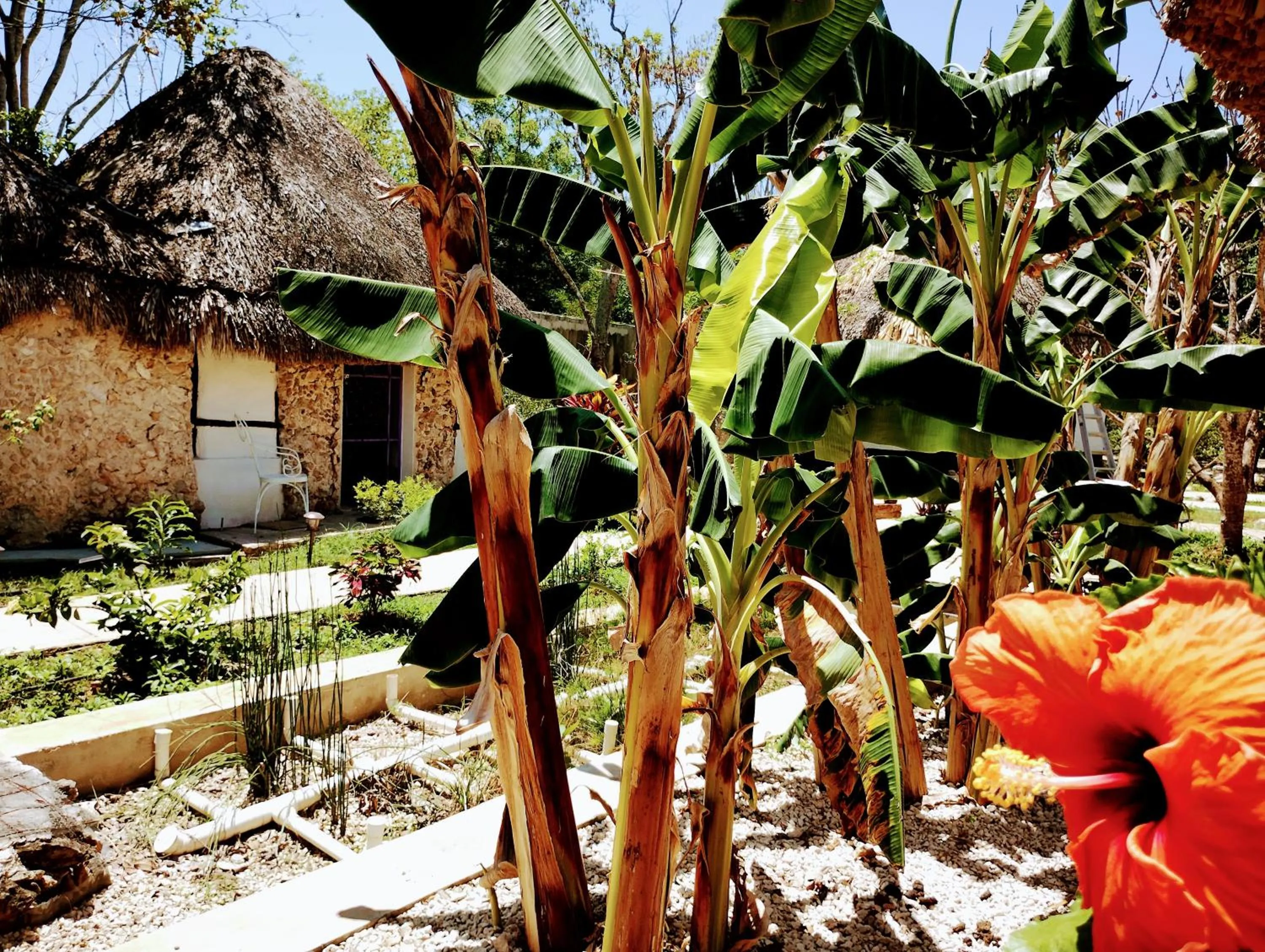 Hotel y Museo Aldea Maya Toktli Orígenes - All Village, Alberca, Wifi Starlink, Tour Museo