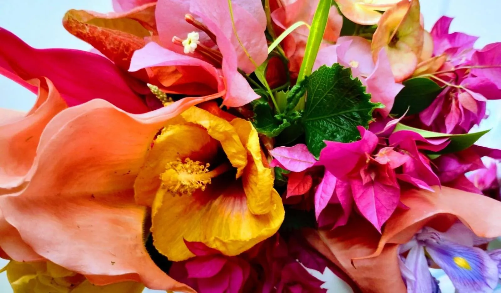 Hotel y Museo Aldea Maya Toktli Orígenes - All Village, Alberca, Wifi Starlink, Tour Museo