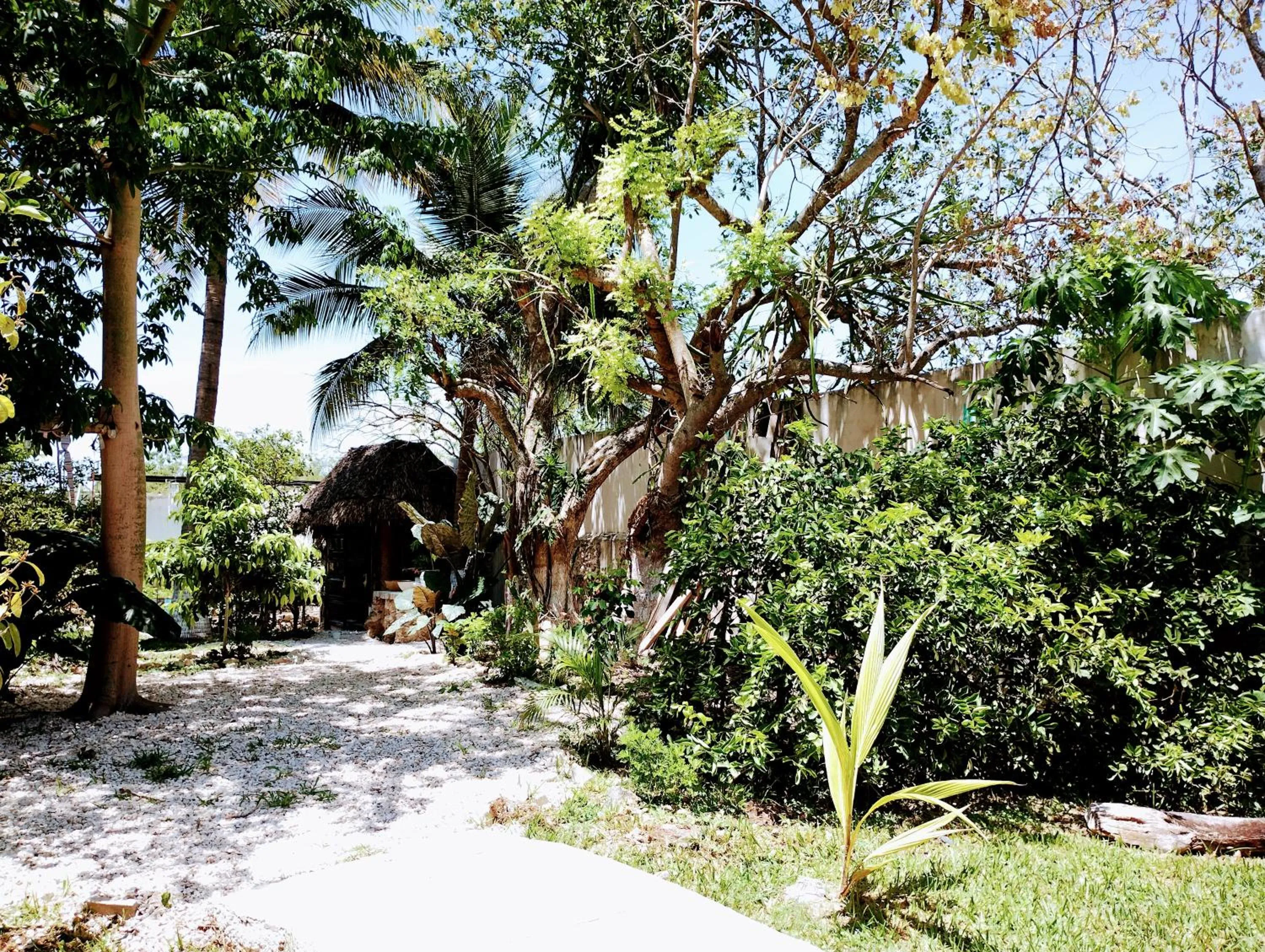 Hotel y Museo Aldea Maya Toktli Orígenes - All Village, Alberca, Wifi Starlink, Tour Museo