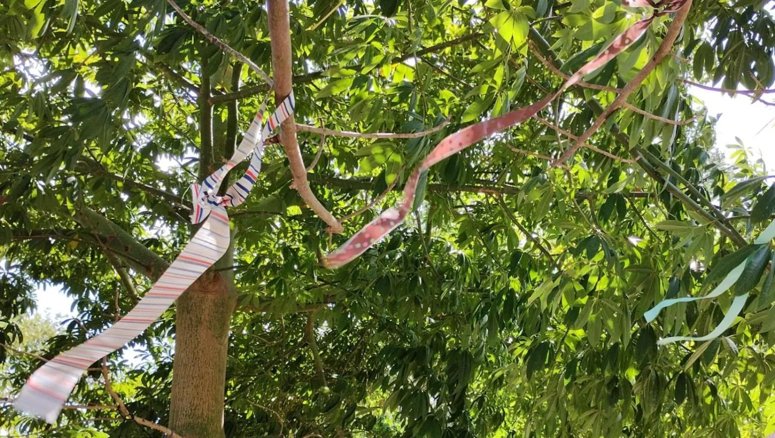 Hotel y Museo Aldea Maya Toktli Orígenes - All Village, Alberca, Wifi Starlink, Tour Museo