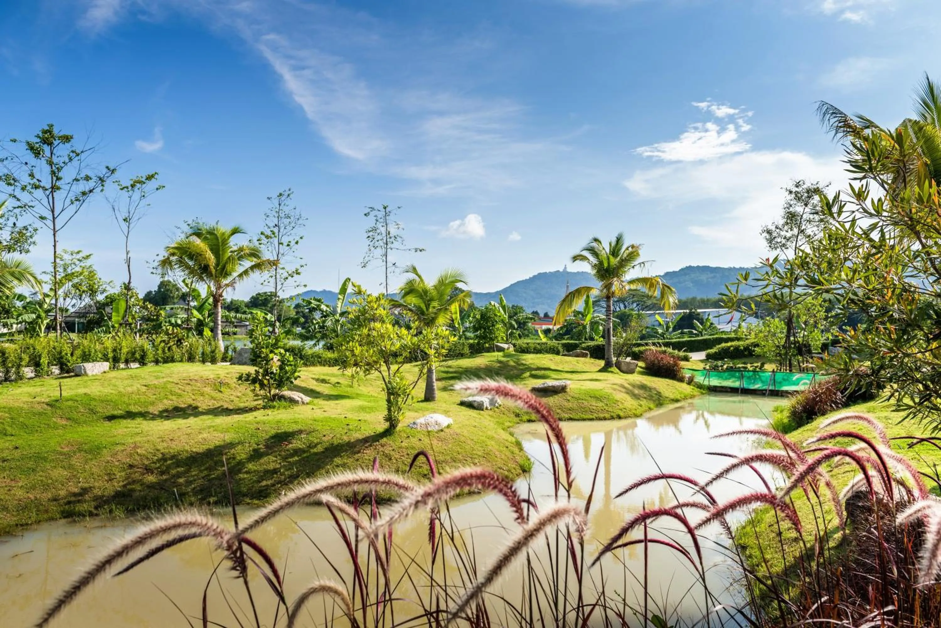 Natural landscape in Chalong Miracle Lakeview
