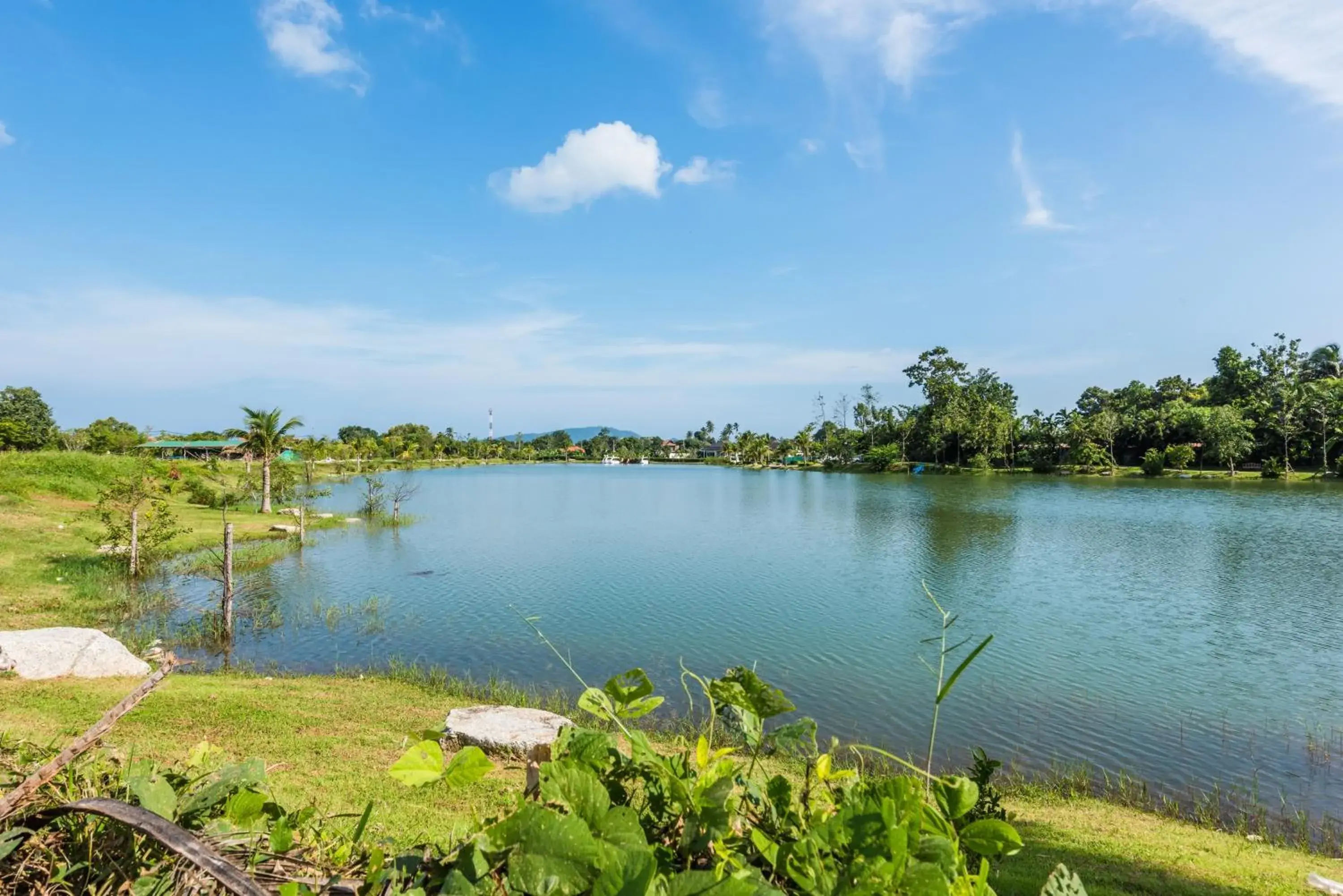 Day in Chalong Miracle Lakeview Day in Chalong Miracle Lakeview