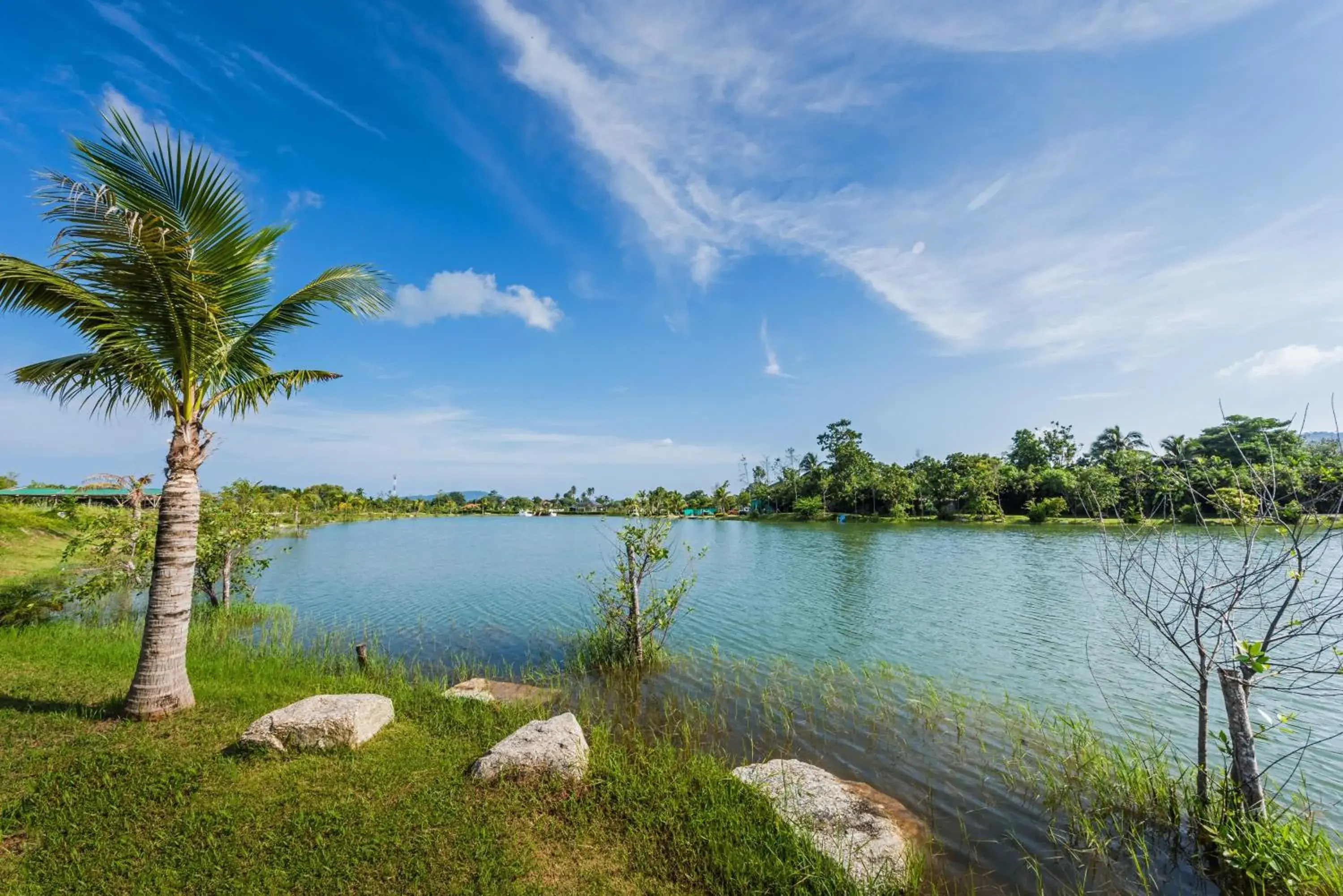 Natural landscape in Chalong Miracle Lakeview Natural landscape in Chalong Miracle Lakeview