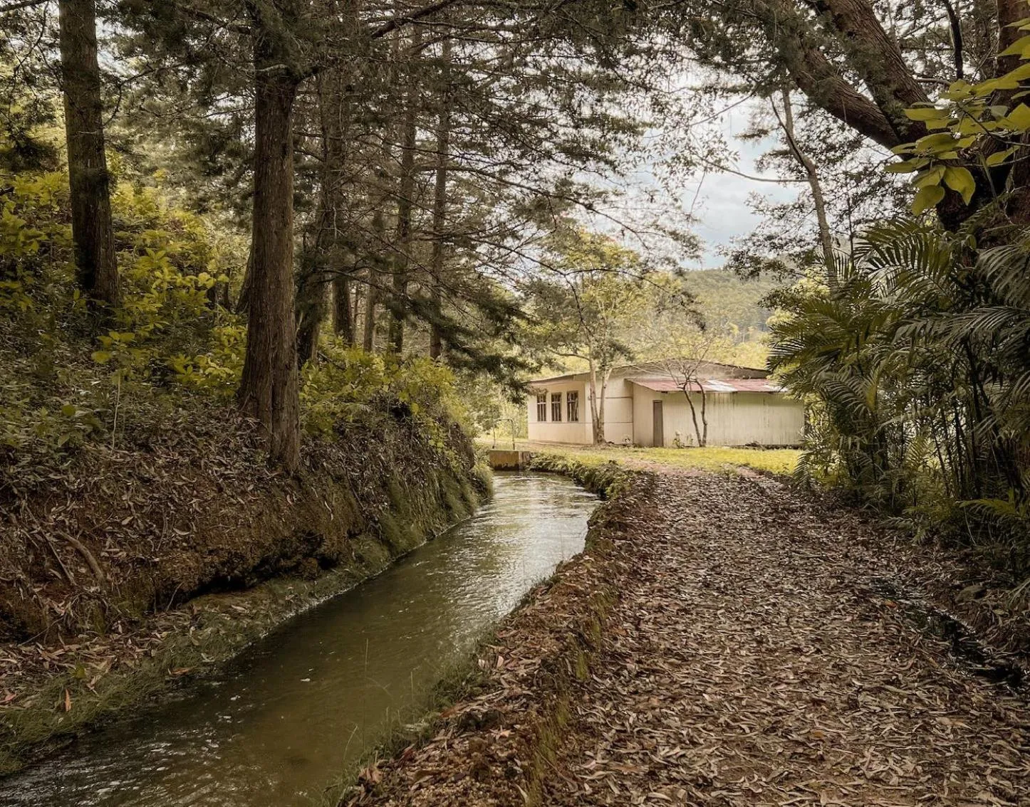 Day in Hacienda La Lucha