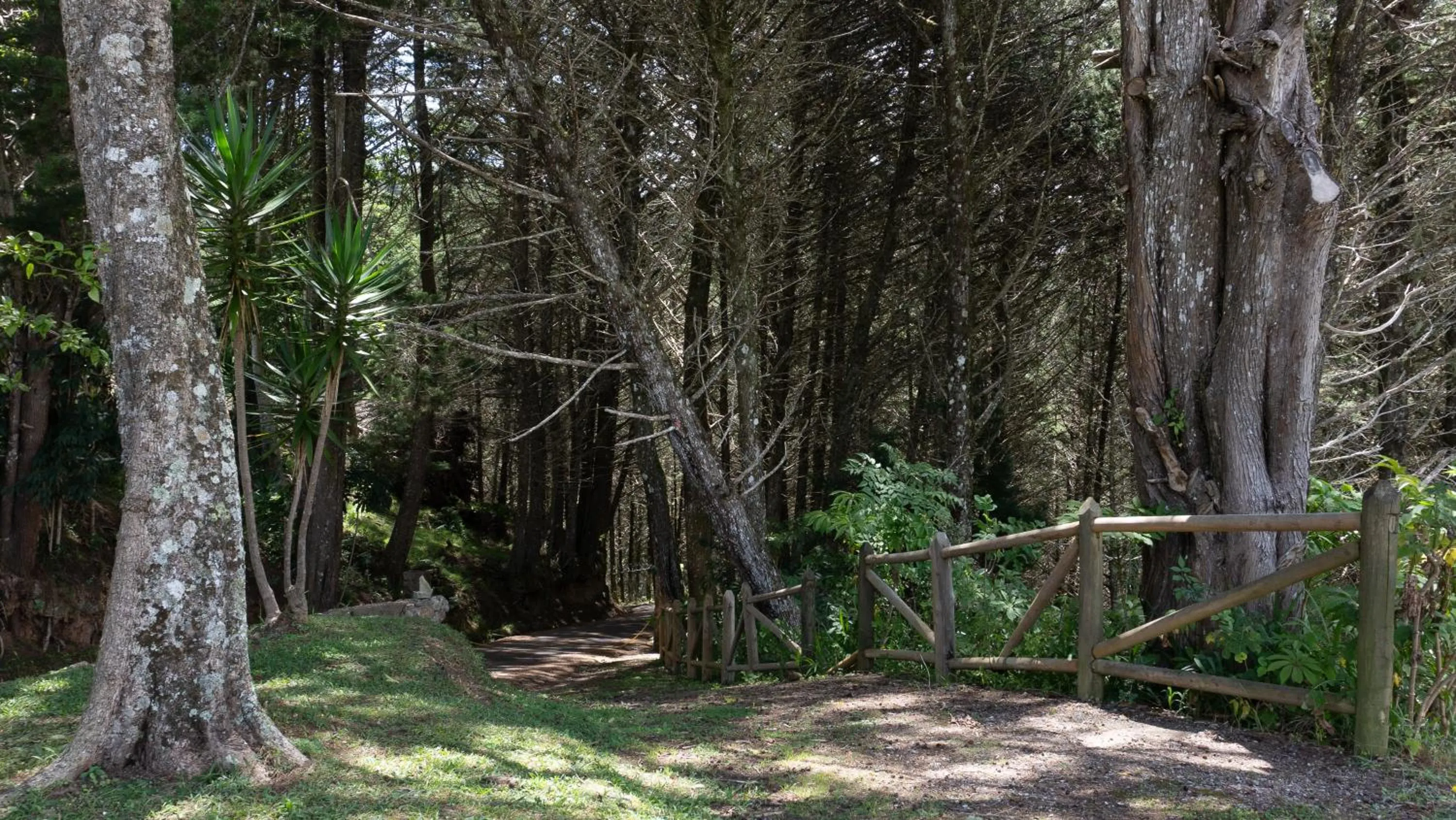 Natural landscape in Hacienda La Lucha