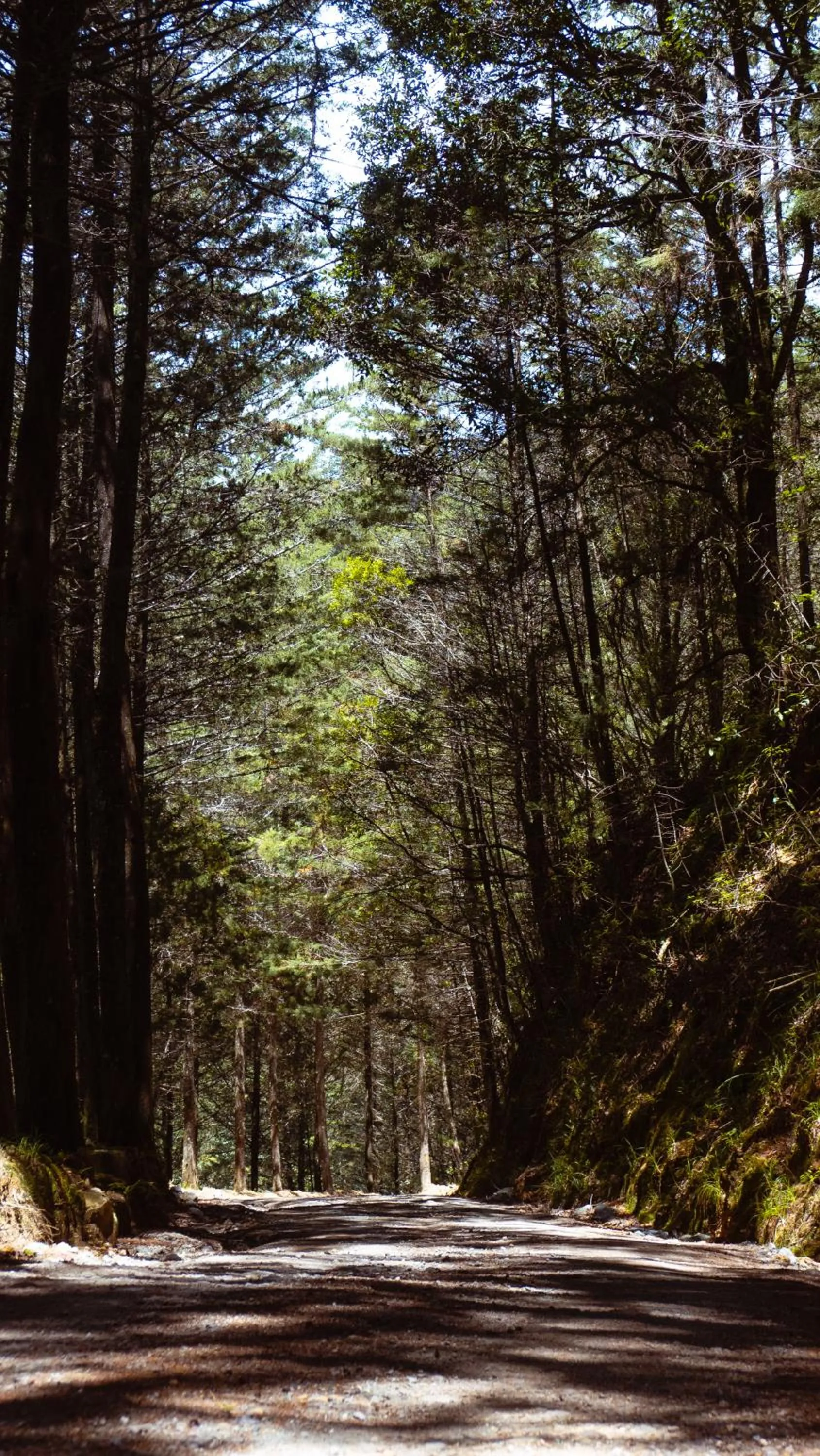 Natural landscape in Hacienda La Lucha