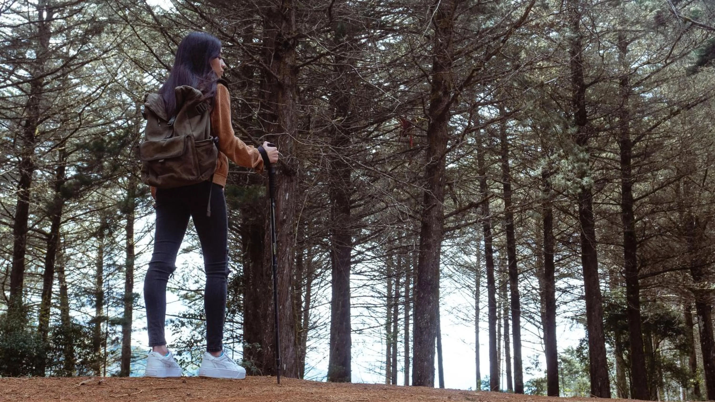 Natural landscape in Hacienda La Lucha