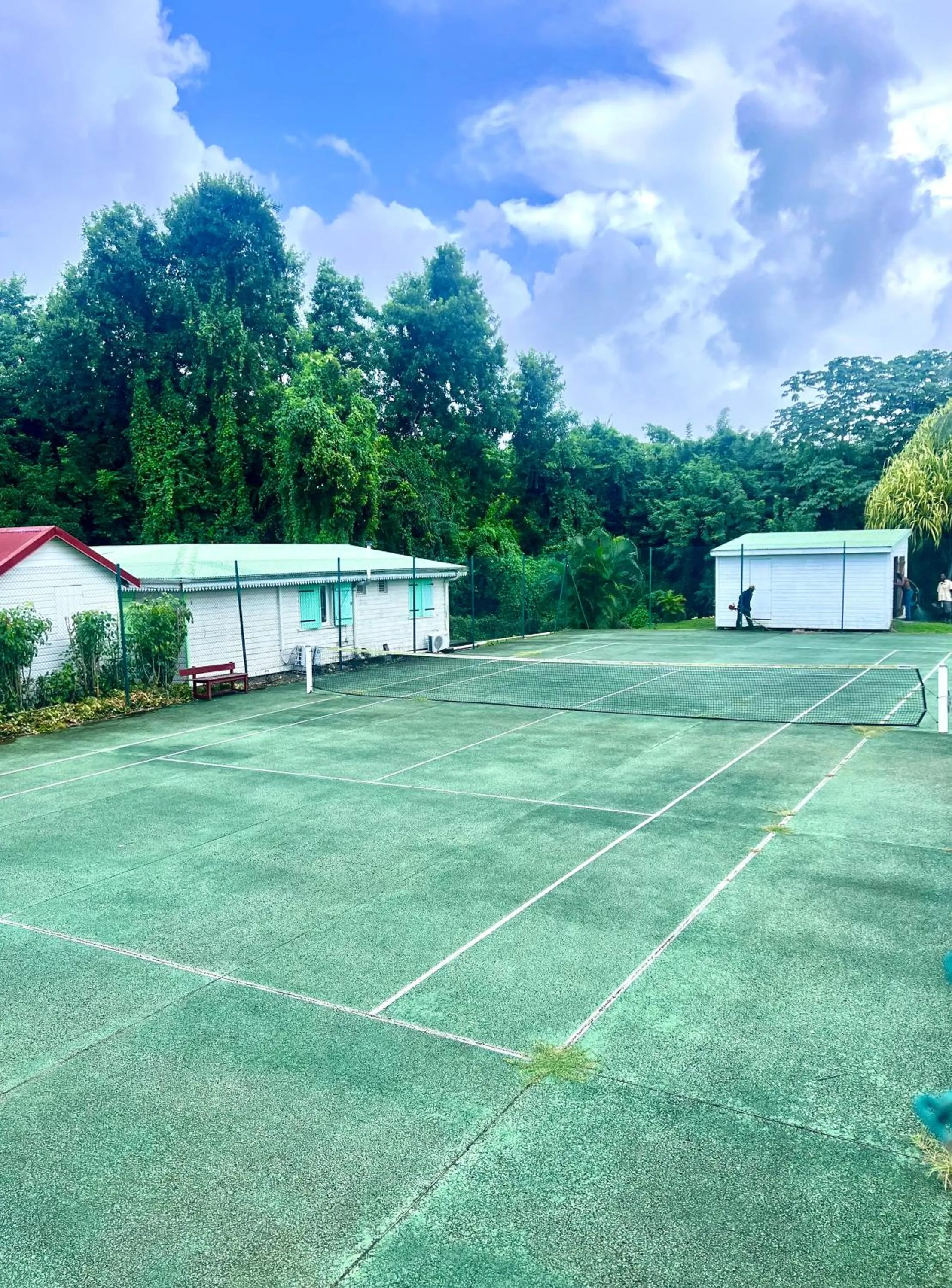 Tennis court in cœur d hibiscus P&V