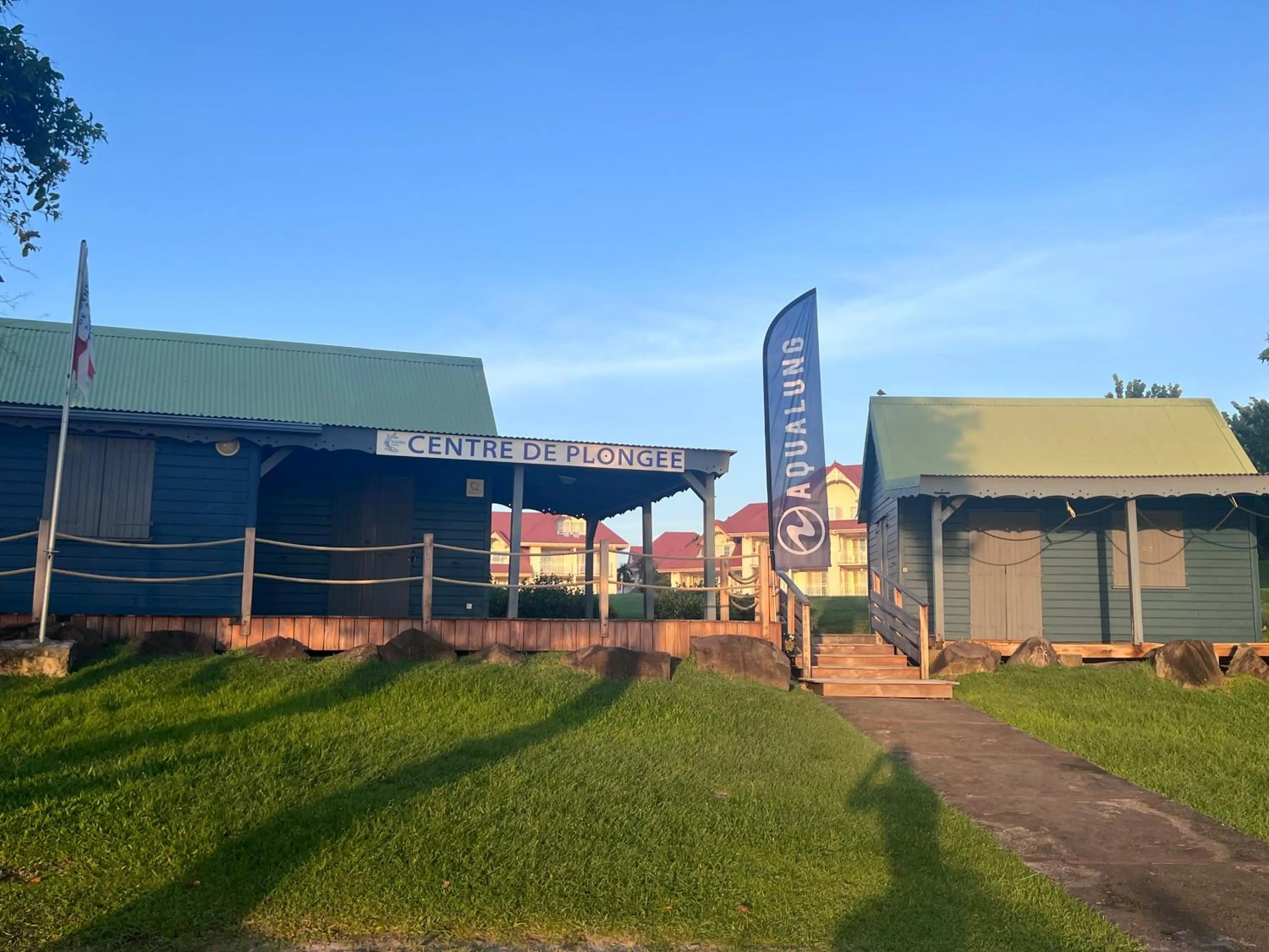 Diving in cœur d hibiscus P&V