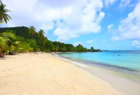Beach in cœur d hibiscus P&V