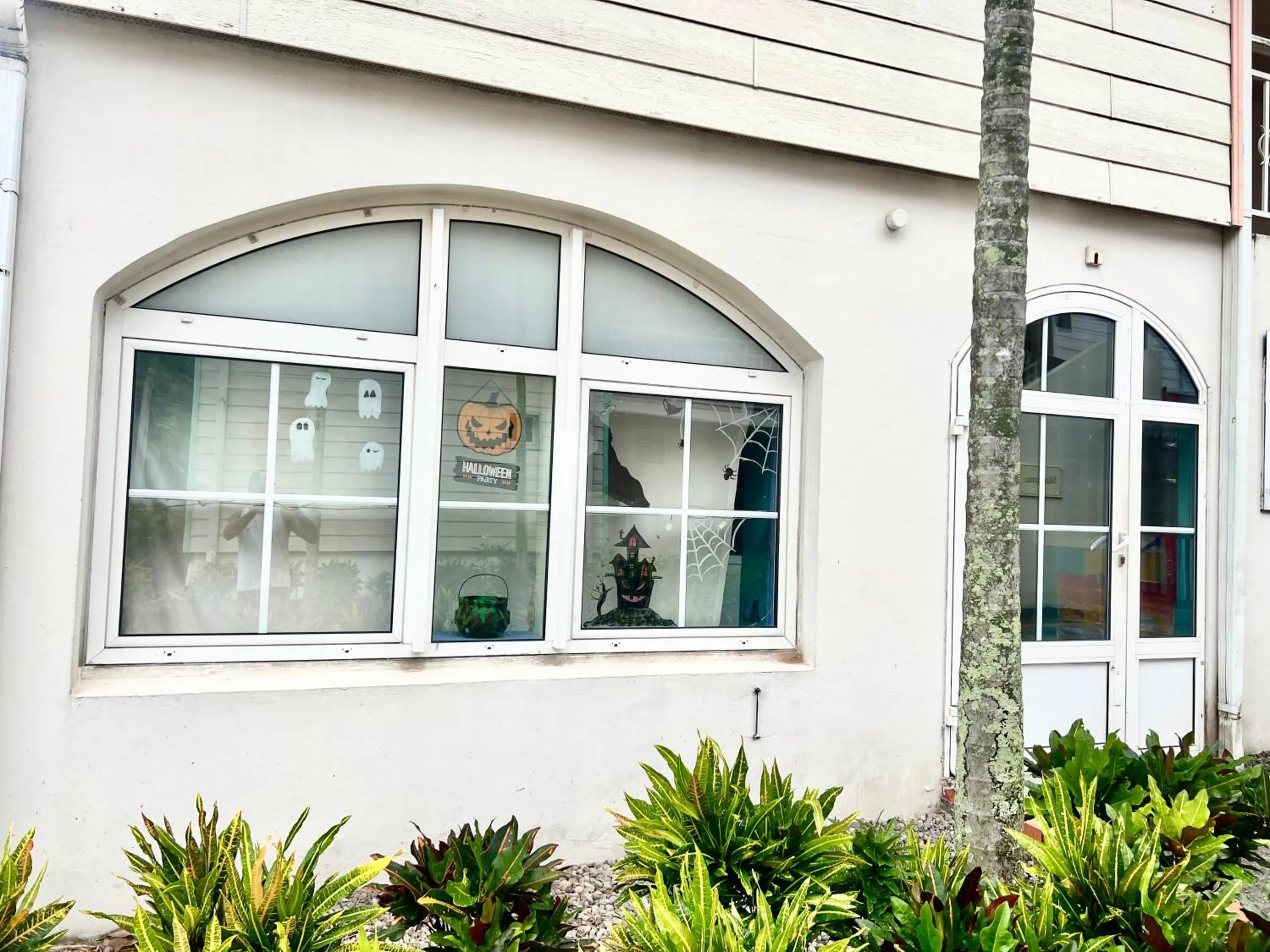 cœur d hibiscus P&V