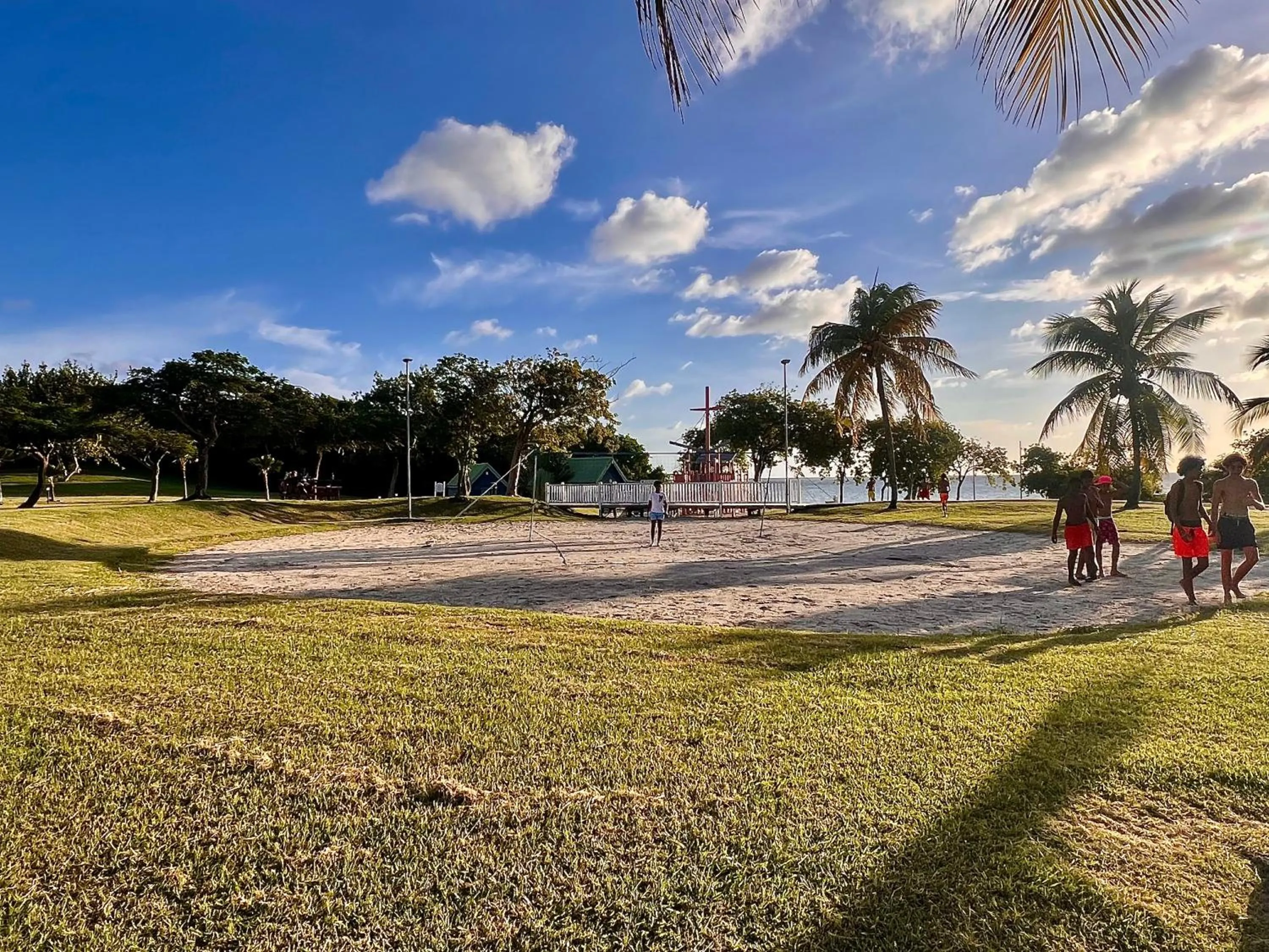 cœur d hibiscus P&V