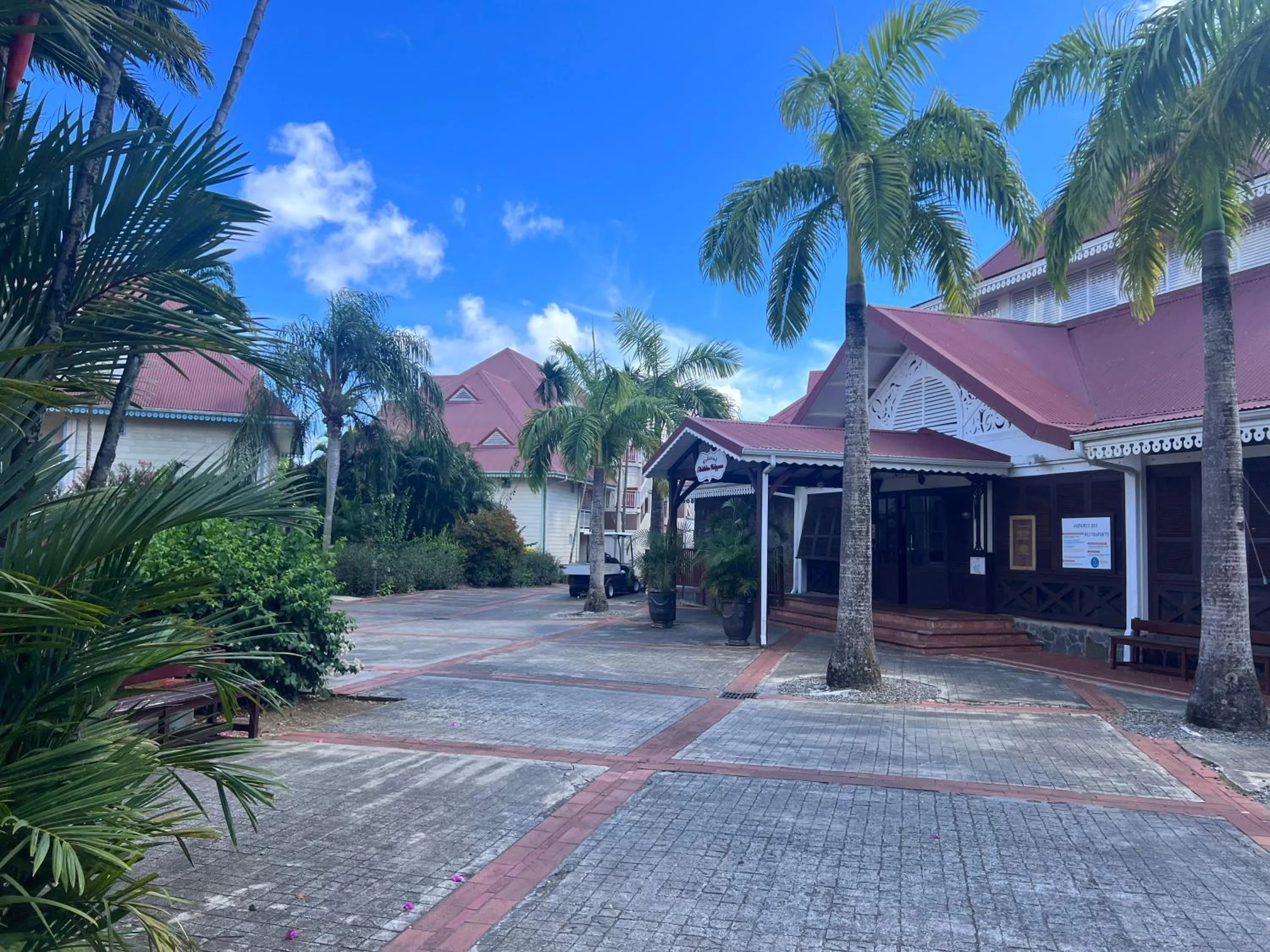 cœur d hibiscus P&V