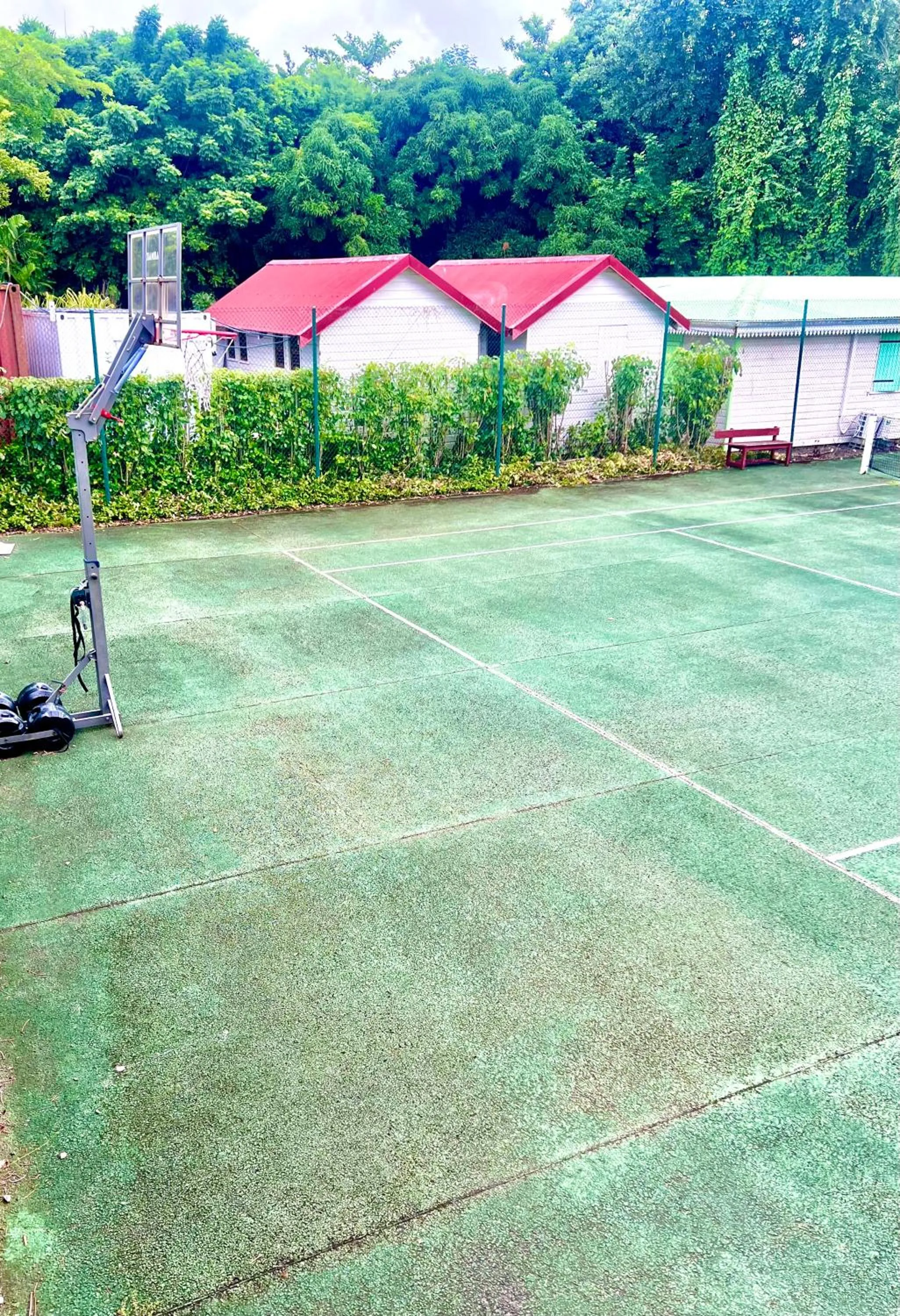 Day in cœur d hibiscus P&V