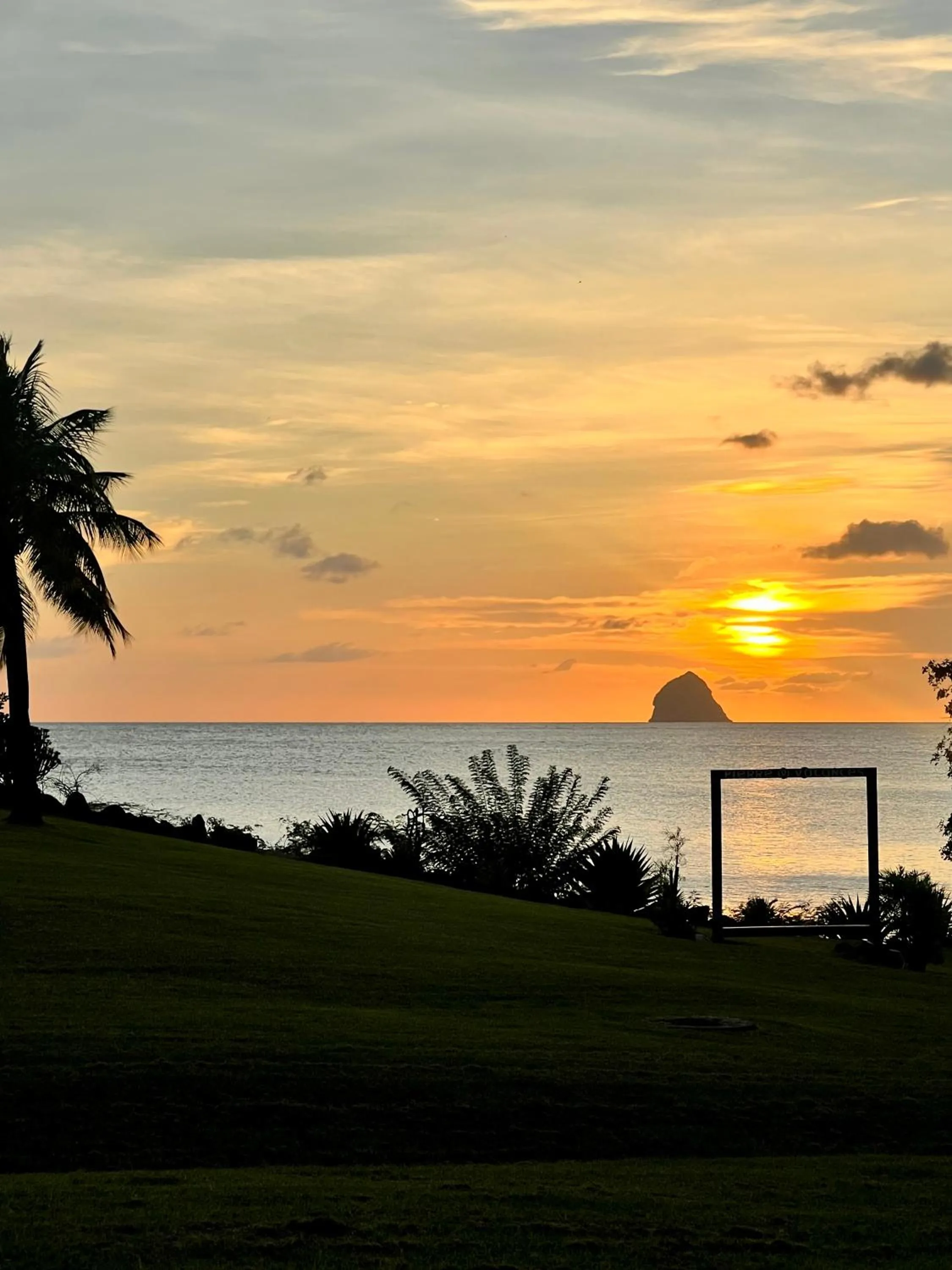 cœur d hibiscus P&V