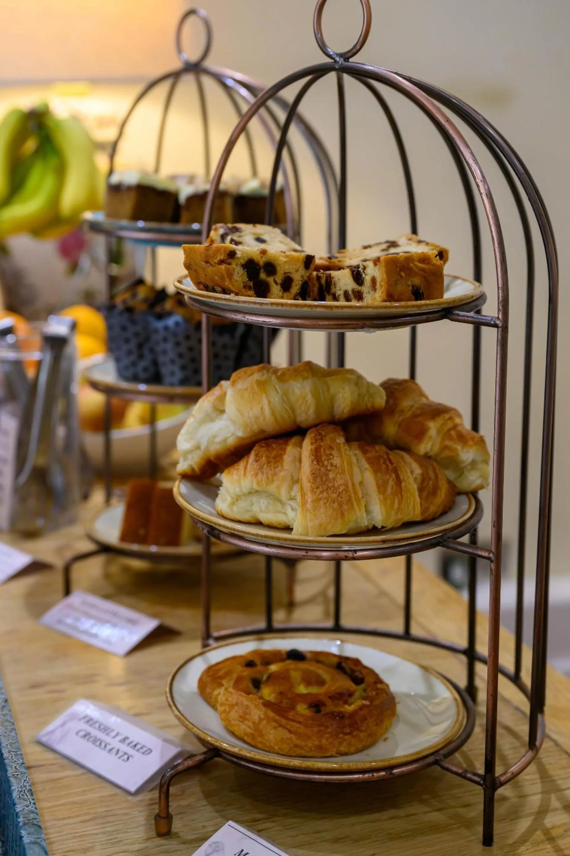 Breakfast in Darwin's Townhouse