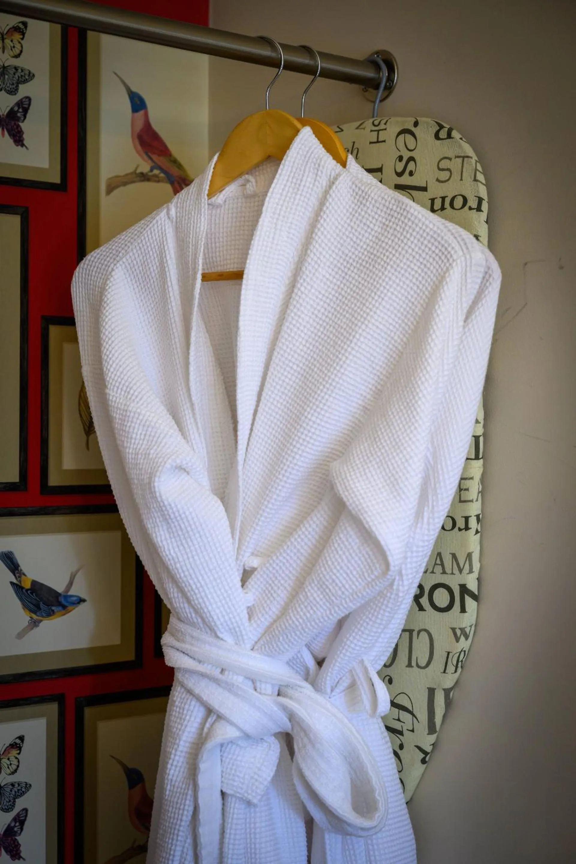 Bedroom in Darwin's Townhouse