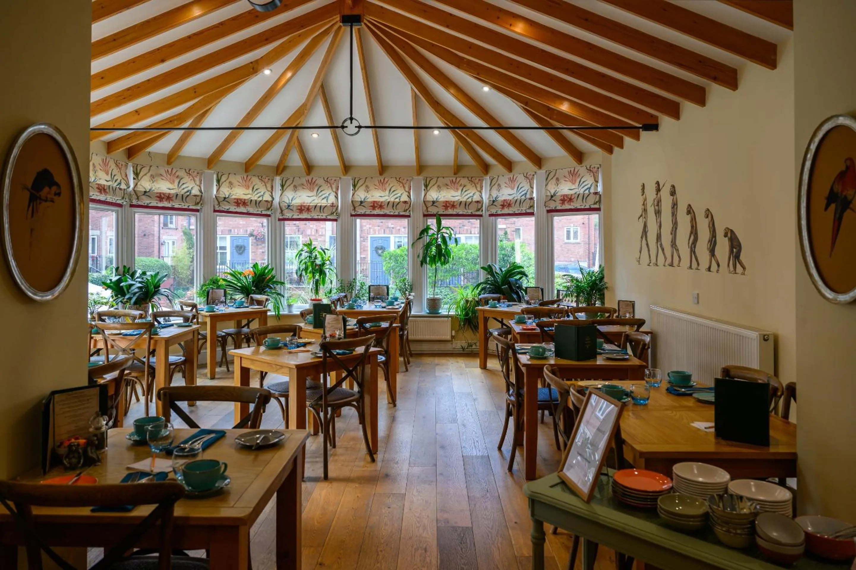 Other in Darwin's Townhouse