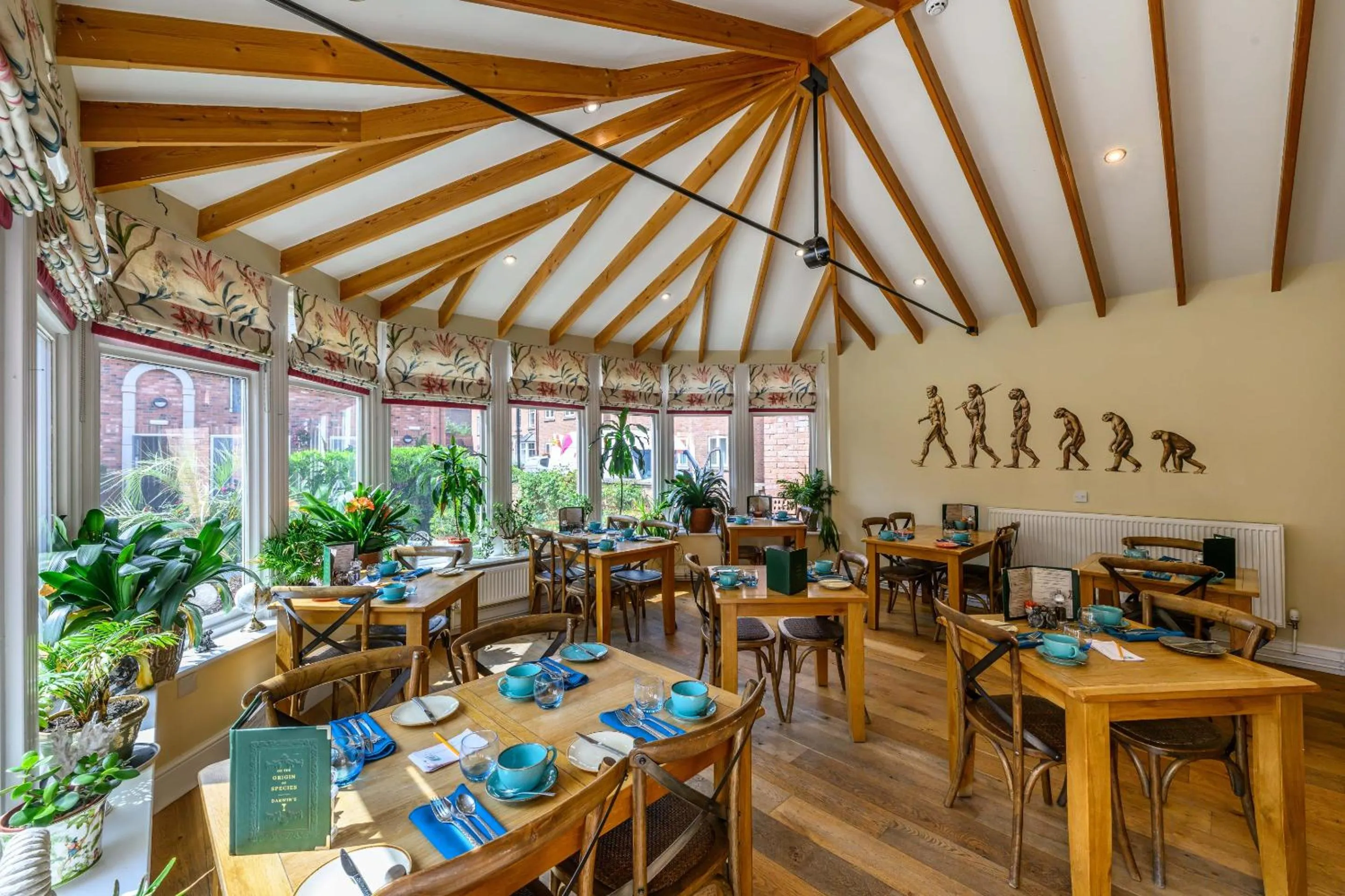 Other in Darwin's Townhouse