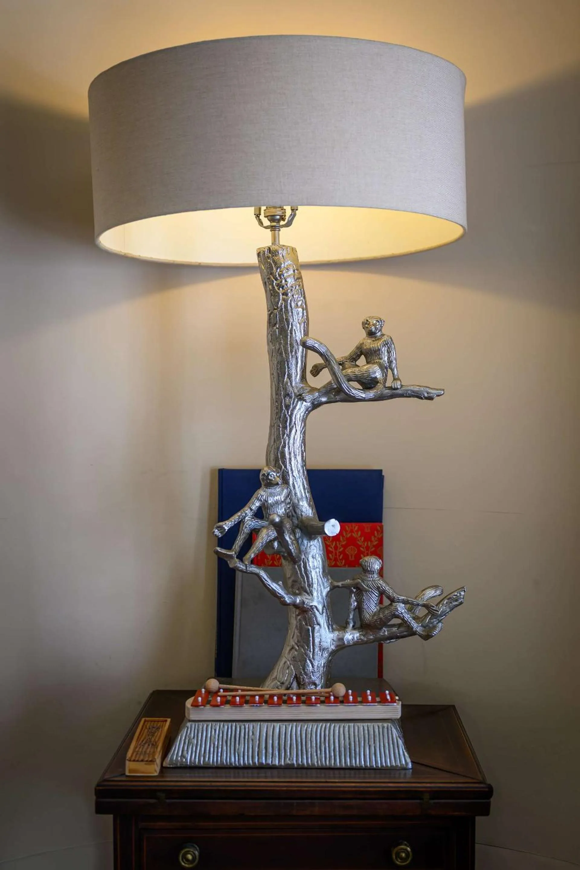 Living room in Darwin's Townhouse