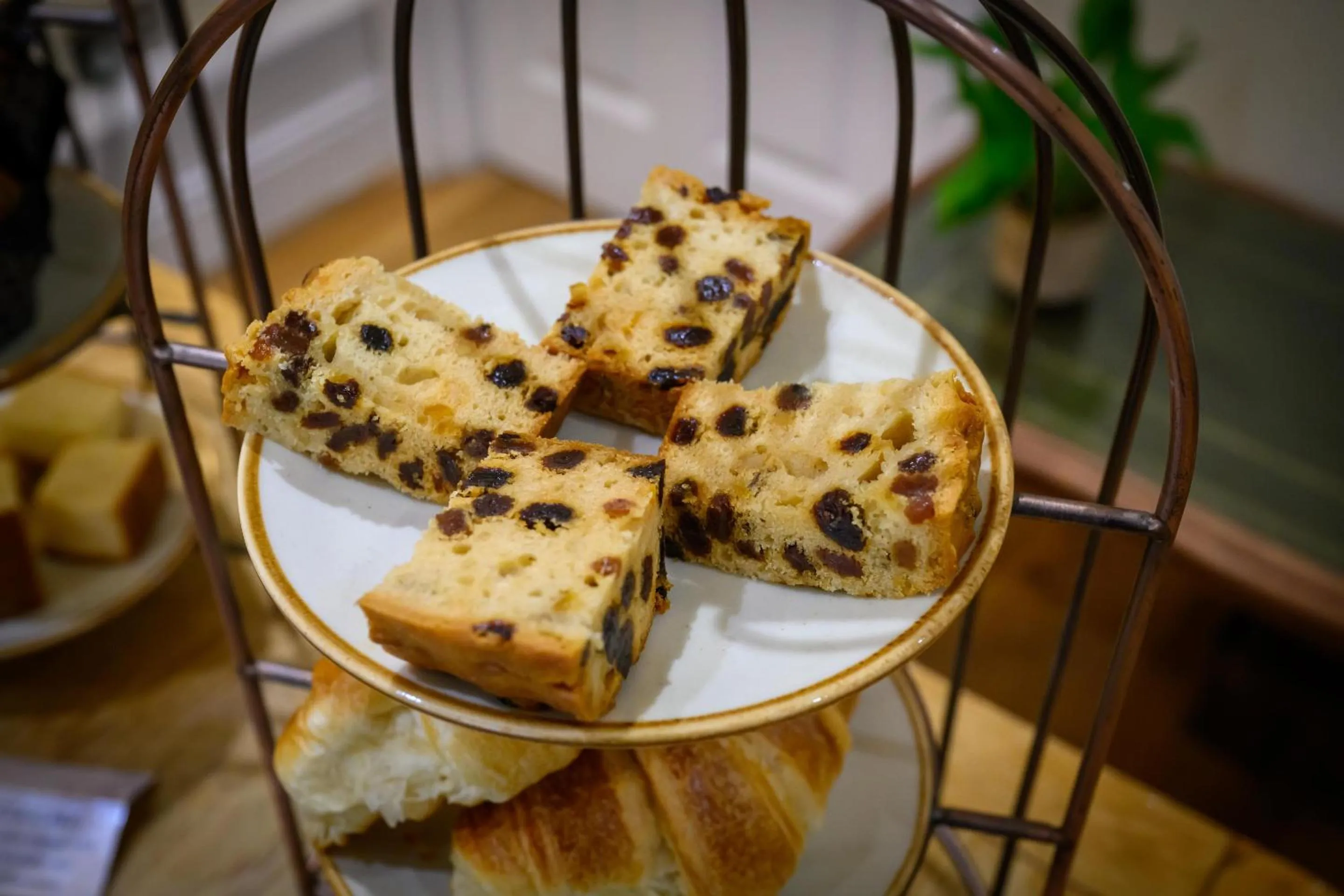 Breakfast in Darwin's Townhouse