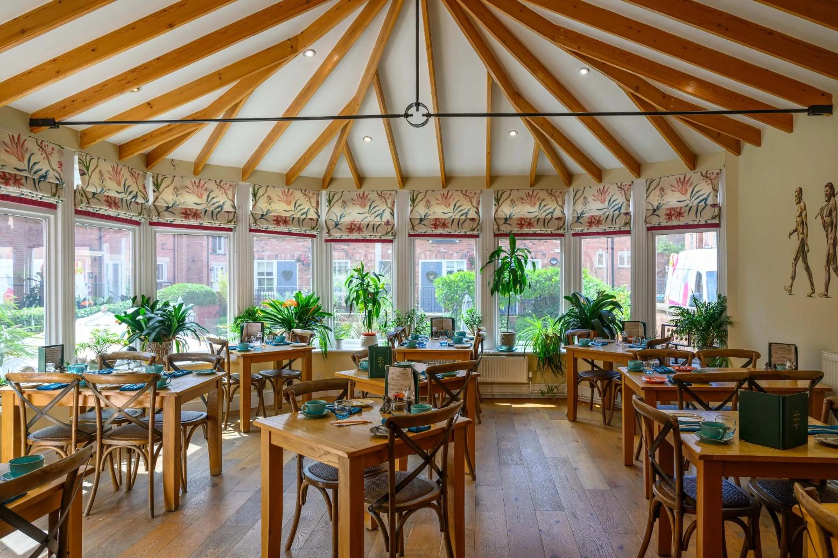 Other in Darwin's Townhouse