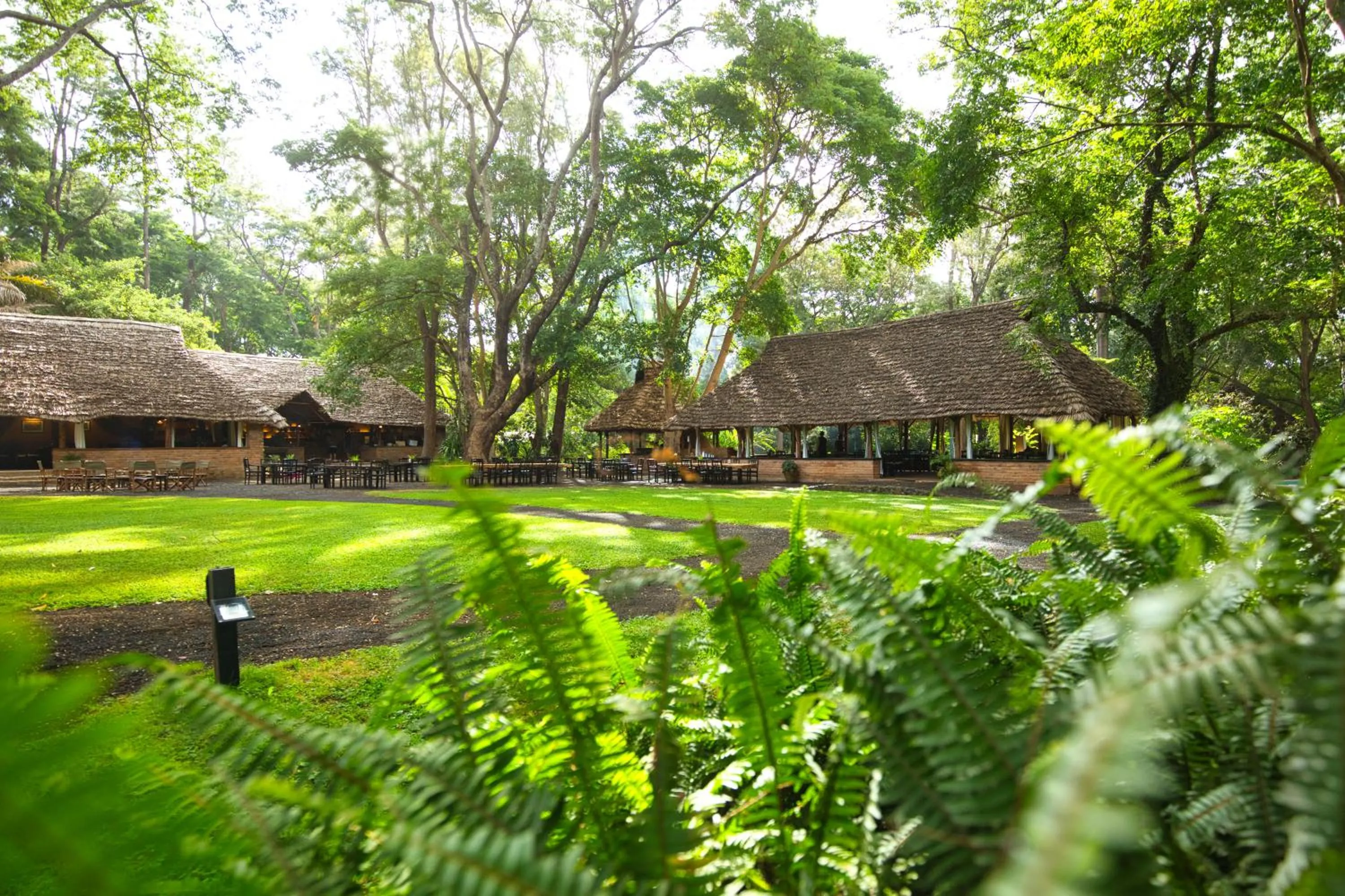 Property building in Rivertrees Country Inn