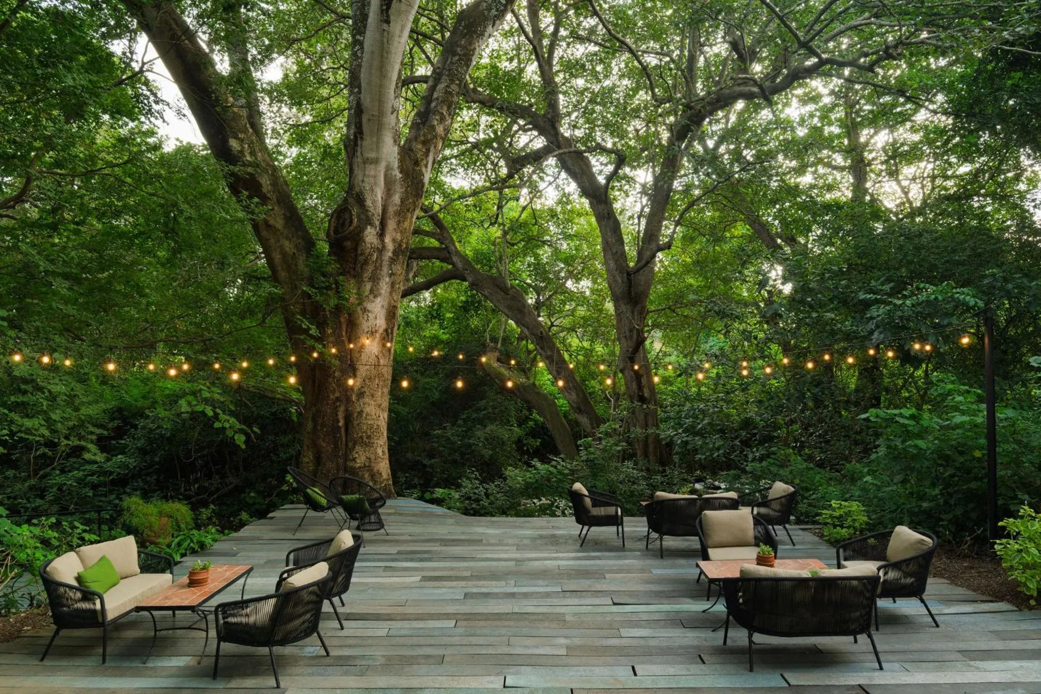 Food and drinks in Rivertrees Country Inn